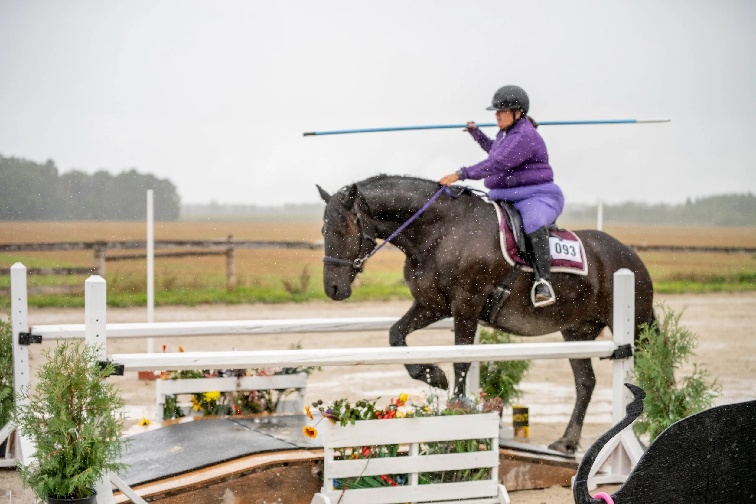 Fun Working Equitation Schooling Show