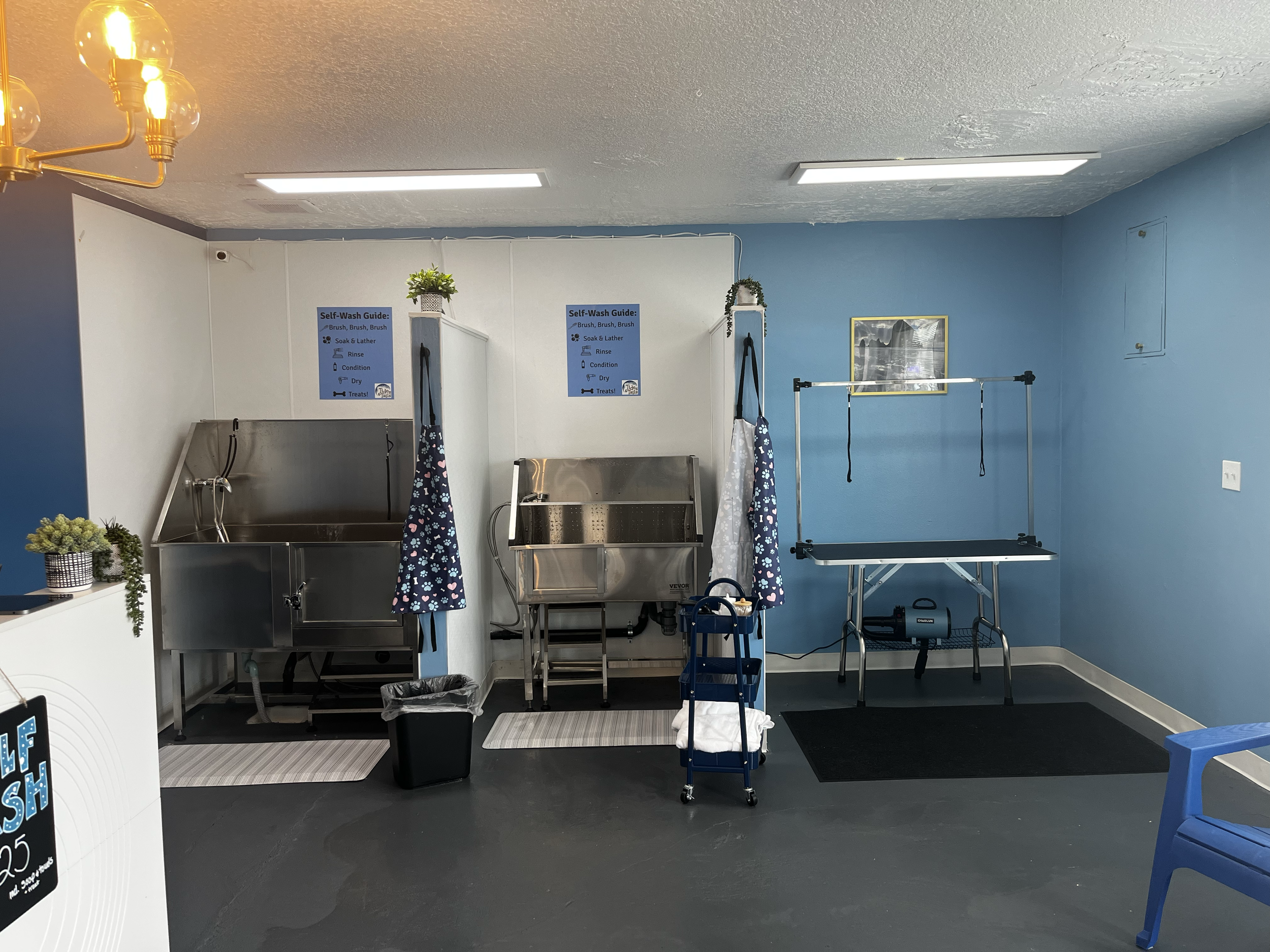 Self-serve pet washing station with two stainless steel tubs, aprons hanging, grooming table, and a blue wall with signs and a picture.