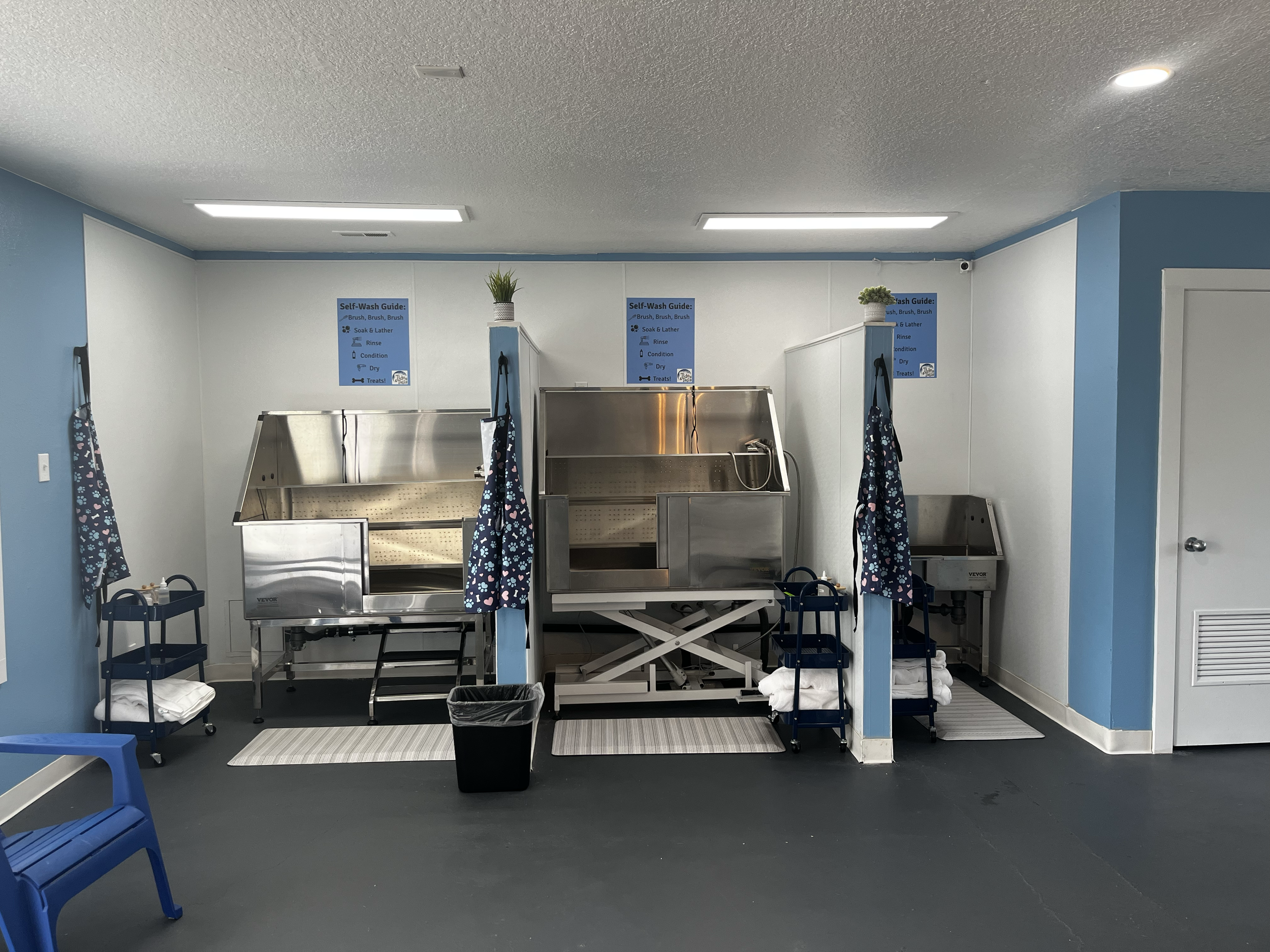 Self-serve pet bathing area with three wash stations, showerheads, and towels, in a room with blue and white walls and grey flooring.