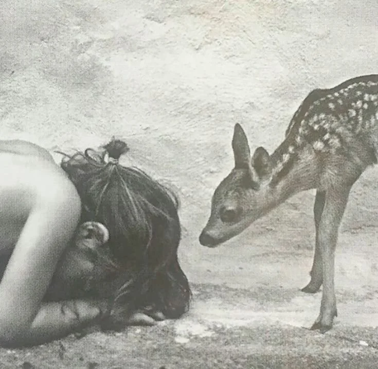 lottie matthews 𖣂 yellowjackets.jpg