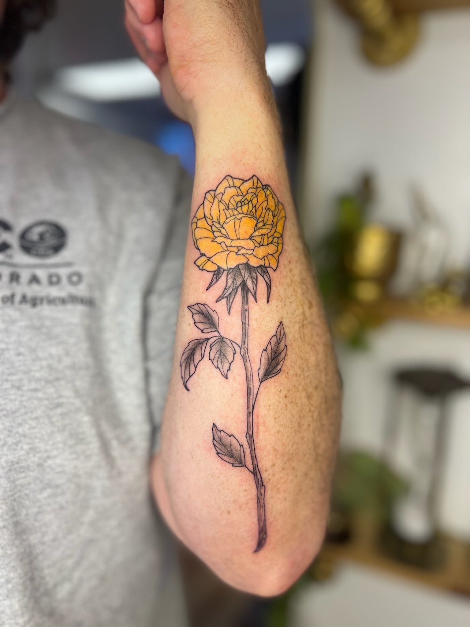 yellow rose.jpg