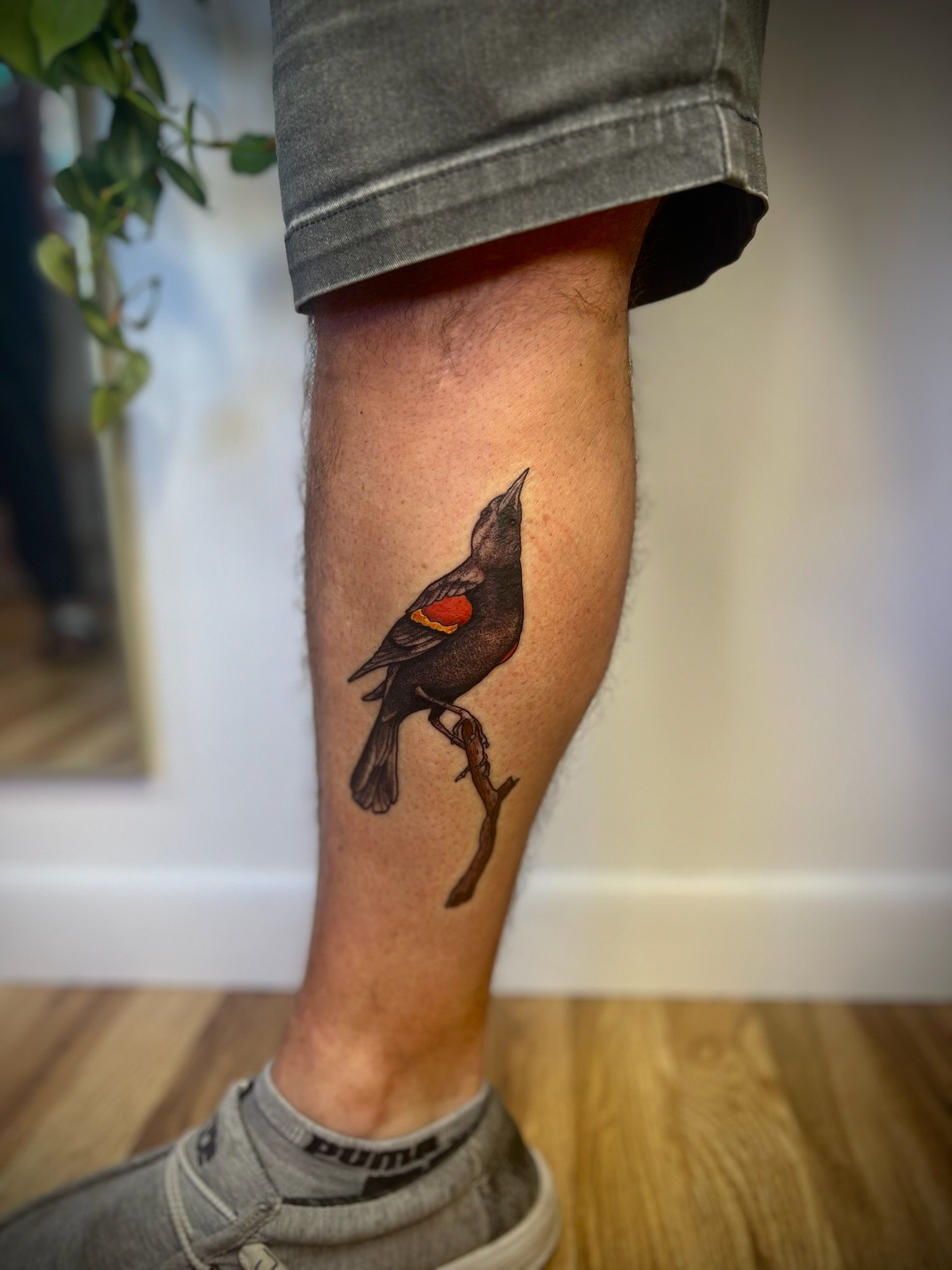 redwinged.jpg