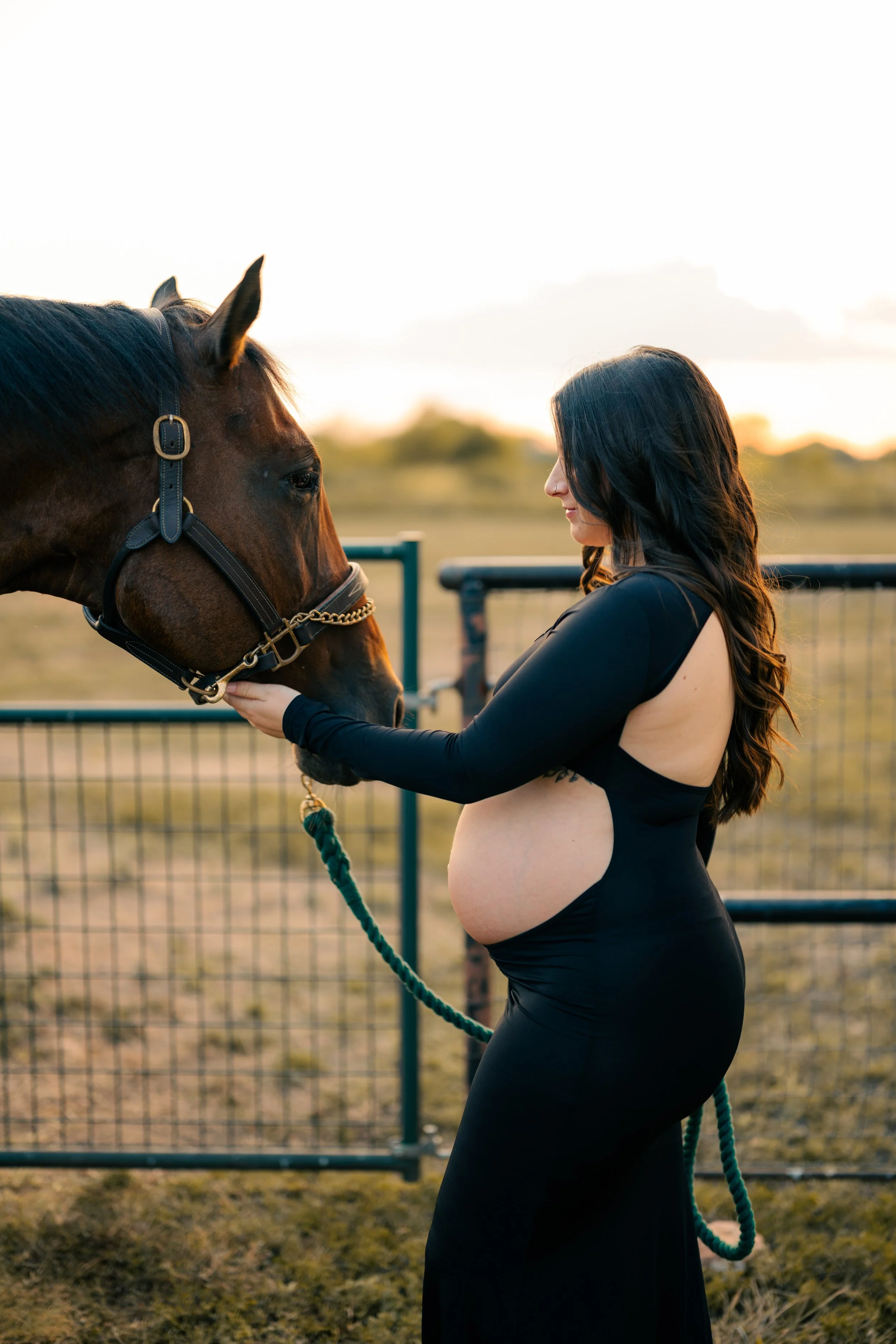 Pregnant woman in a black dress gently holding a horse's face outdoors during sunset.