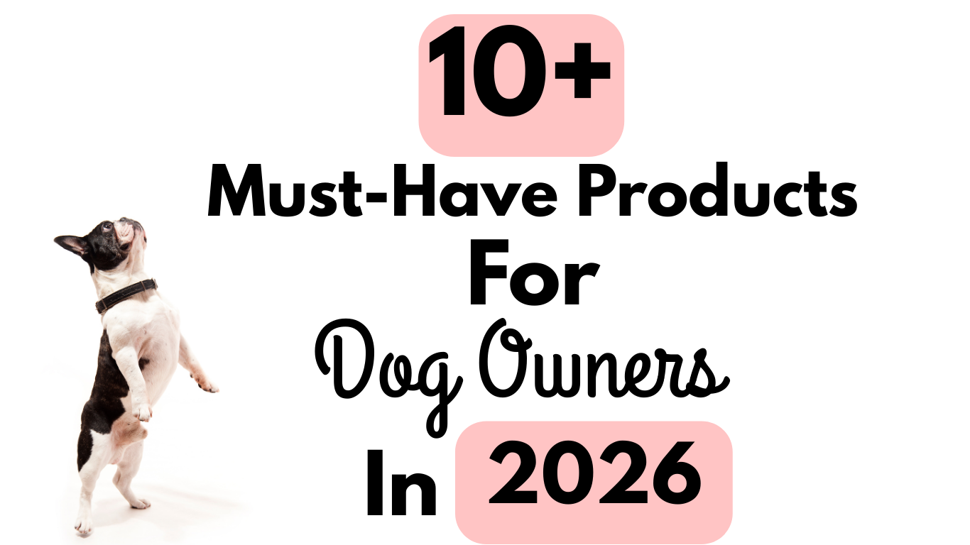 10+ Must-Have Products for Dog Owners to Start 2026 Off Right.