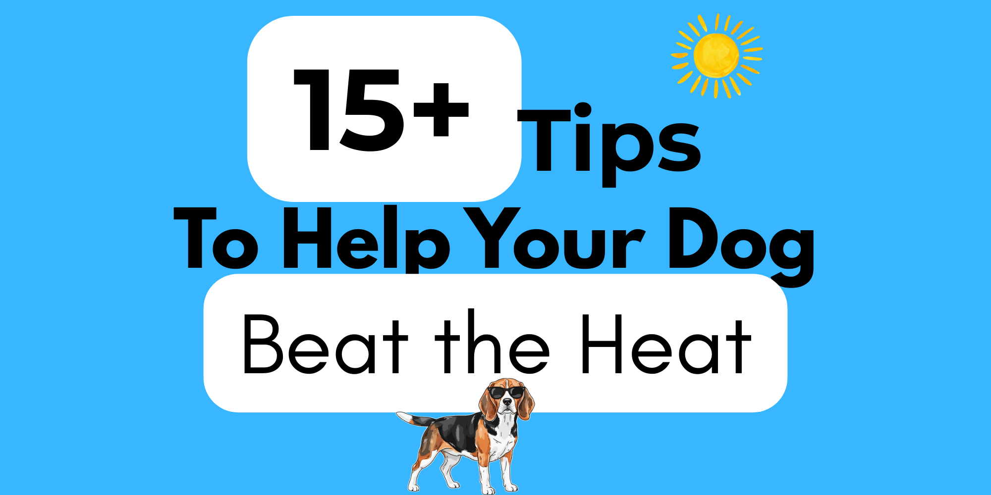 15+ Tips To Help Your Dog Beat The Heat