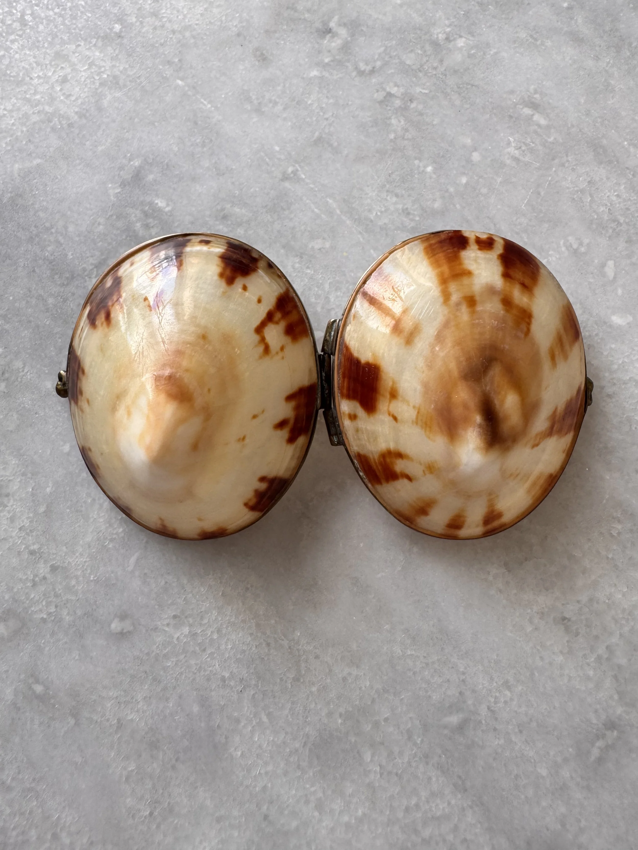 IMG_6033.jpeg