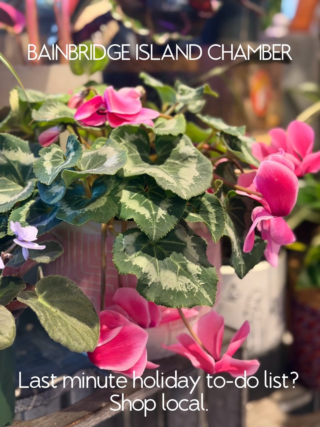 Last-minute holiday to do list? There&rsquo;s no better place to look than your own backyard to put the final touches on your holiday plans. SHOP LOCAL &amp; STAY SANE! Here are a few of our favorite spots for all your holiday needs. 

For home decor