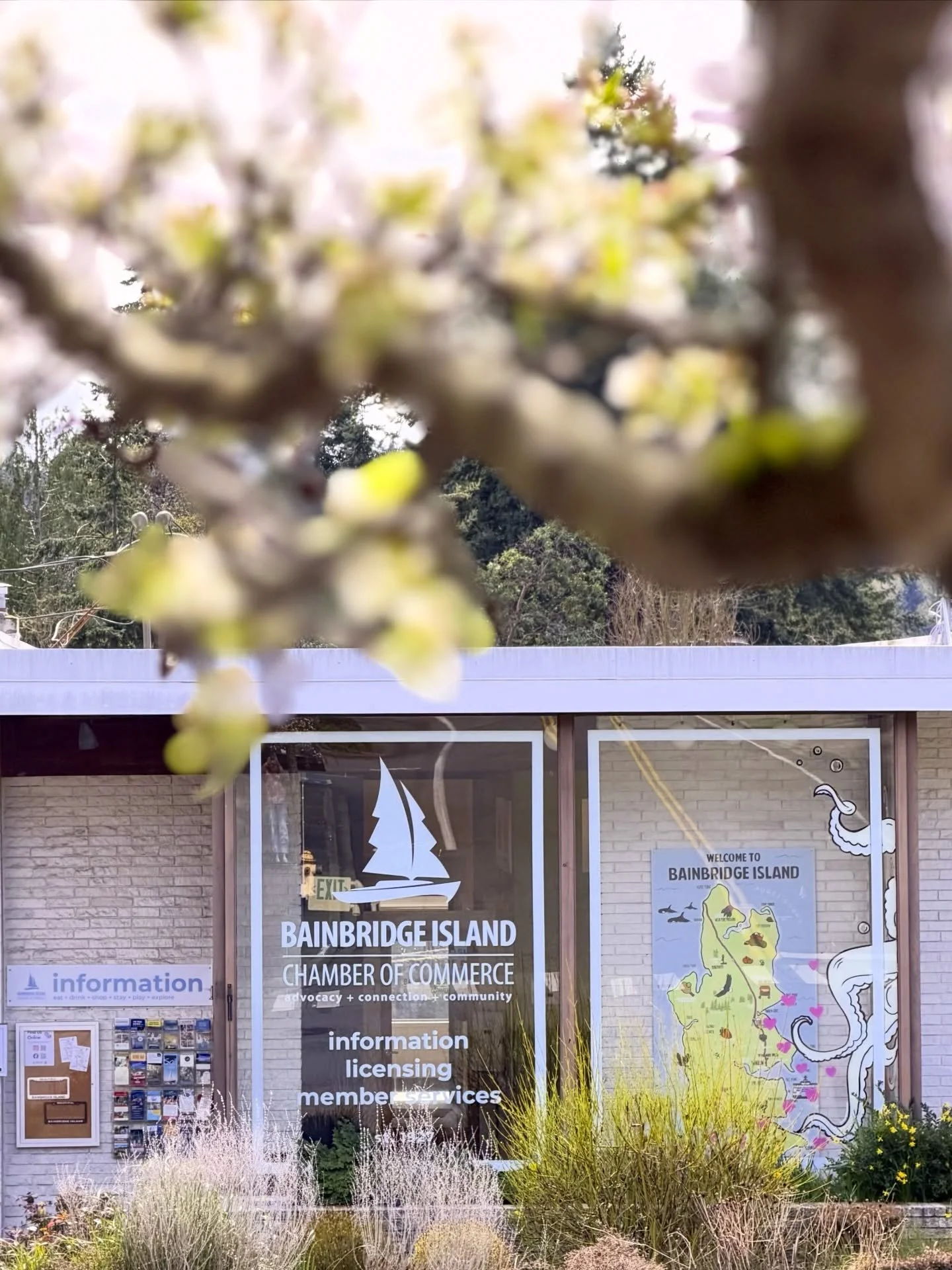 &hellip;the sun just came out to welcome Spring! 🤍