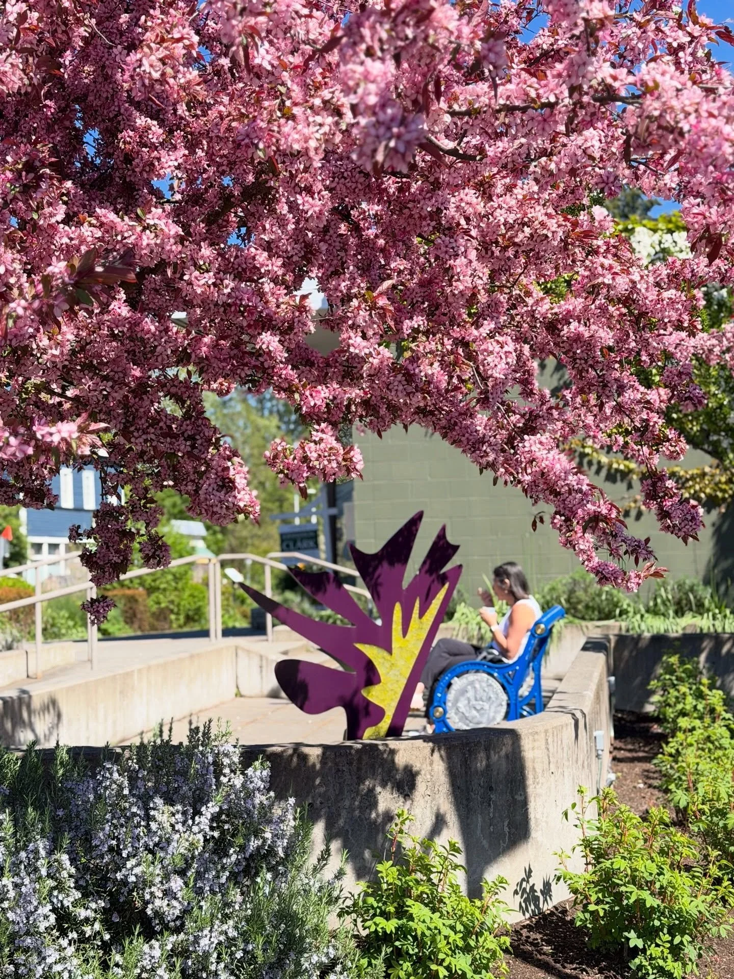 Winslow is popping with people and color this weekend! We are here for it! 😌