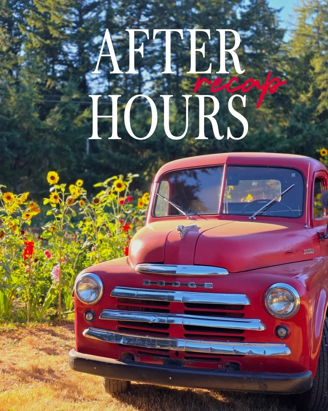 What a fun August evening sipping drinks among the Dahlias. Big thank you to Bainbridge Island Suyematsu Farms for hosting our beautiful After Hours at their U-Pick Dahlia Fields. What a backdrop to learn more about the farms while connecting with fe