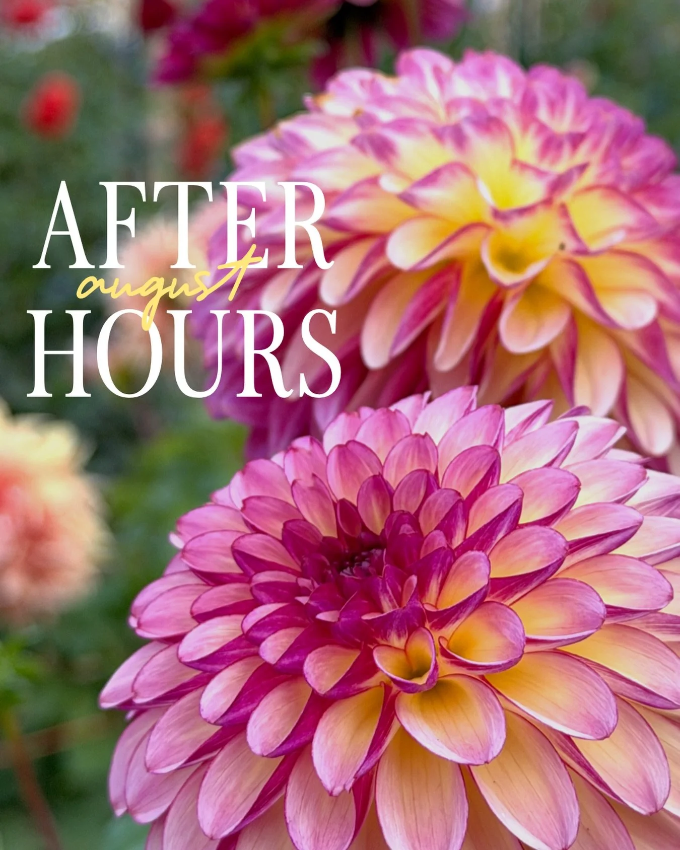 August After Hours registration is open!

Thursday, August 20th
5:00 PM  to 7:00 PM

It&rsquo;s the Summer Harvest Season and what better way to celebrate than soaking up some sunshine, socializing with your fellow chamber members, and sipping some d