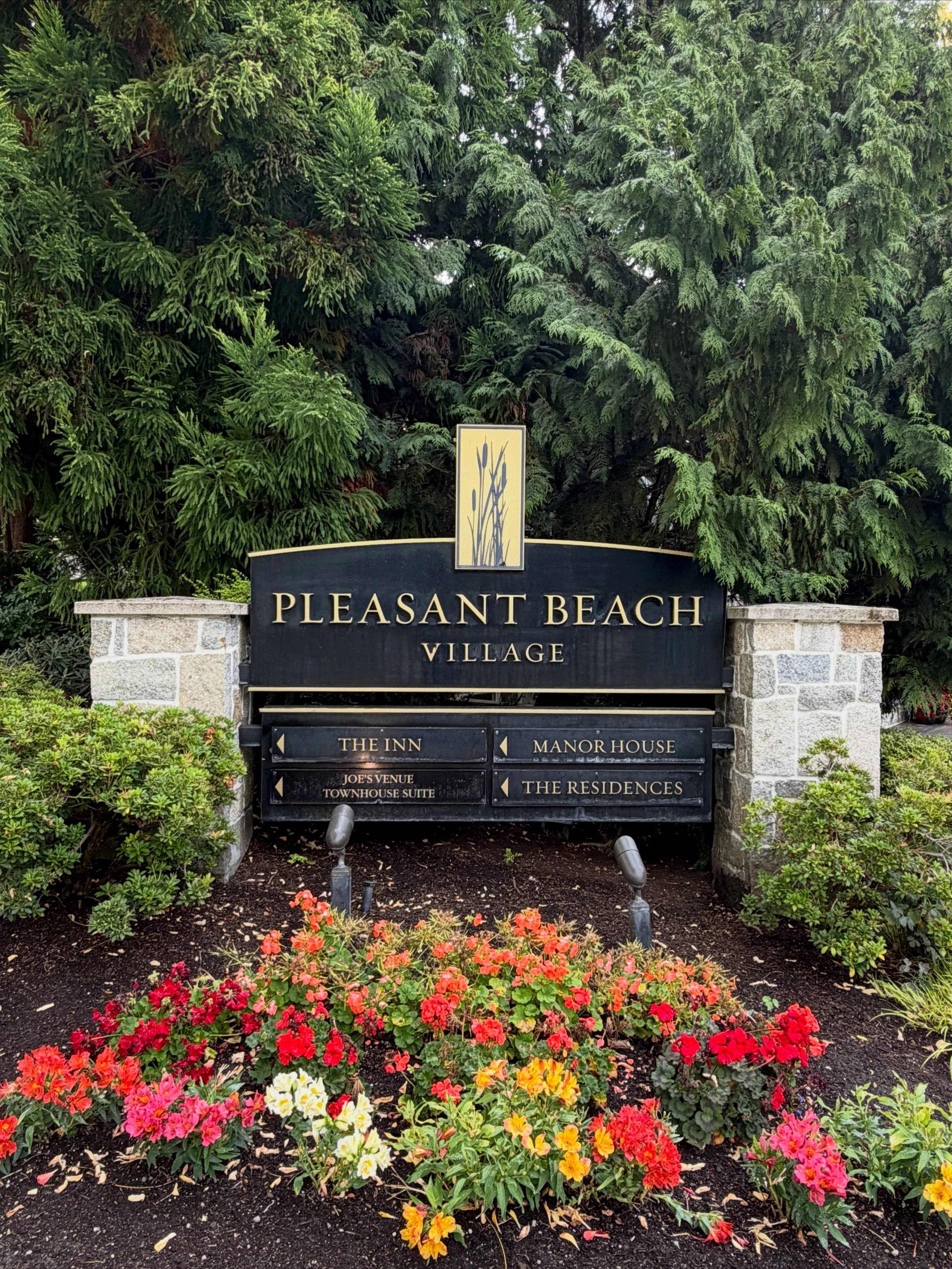 On a Friday each month, the Chamber team hits the road to visit one of our members. We take a peek behind the scenes and ask business leaders to discuss their experiences owning and operating a business on Bainbridge Island. These Friday Field Trips 
