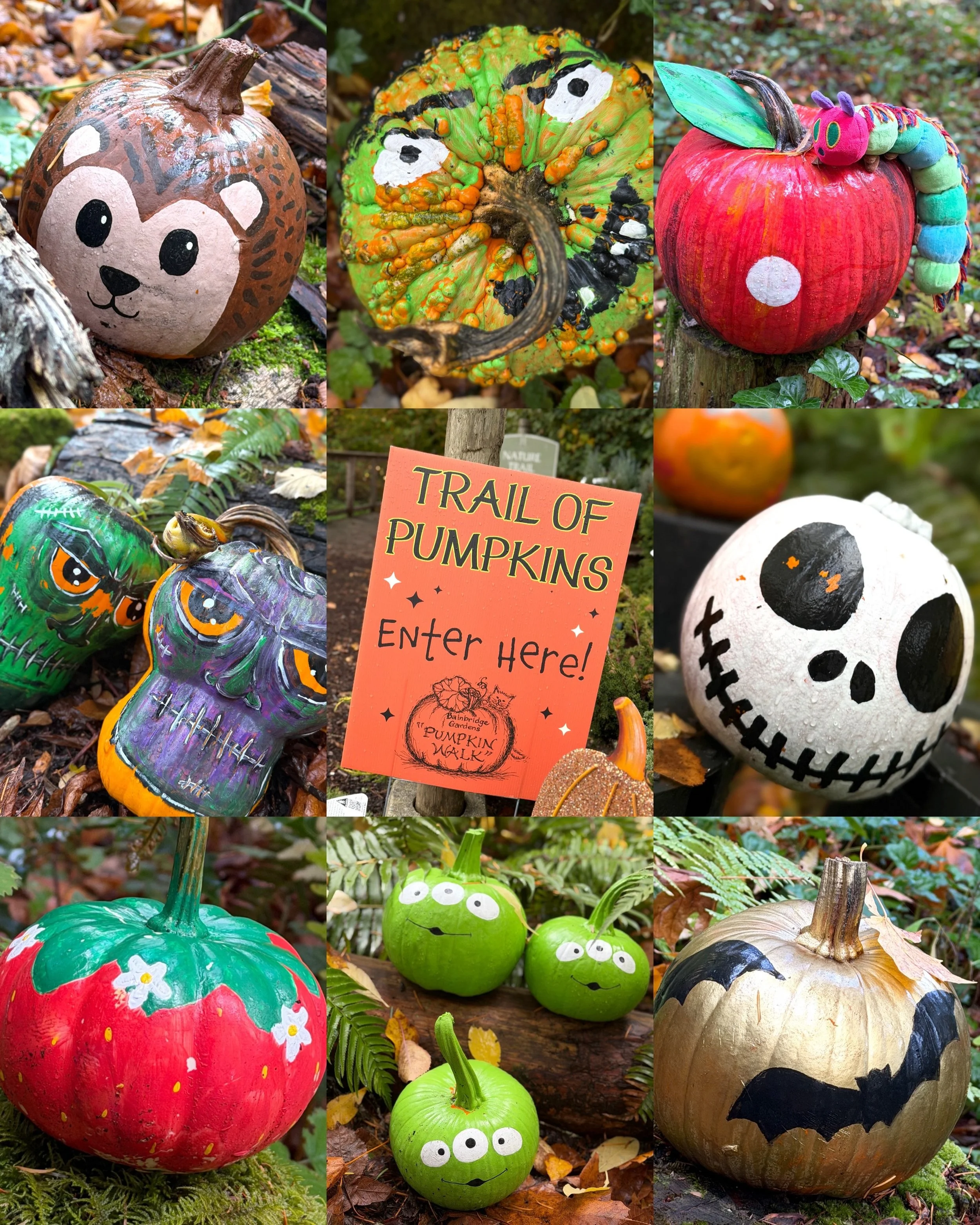 Happy Hallow Eve and Halloween Weekend from our Chamber team! Did you go and see the Trail of Pumpkins at @bainbridgegardens yet? So many great and creative pumpkins! We will be at the Chamber office giving out candy for Hometown Halloweeen tomorrow 