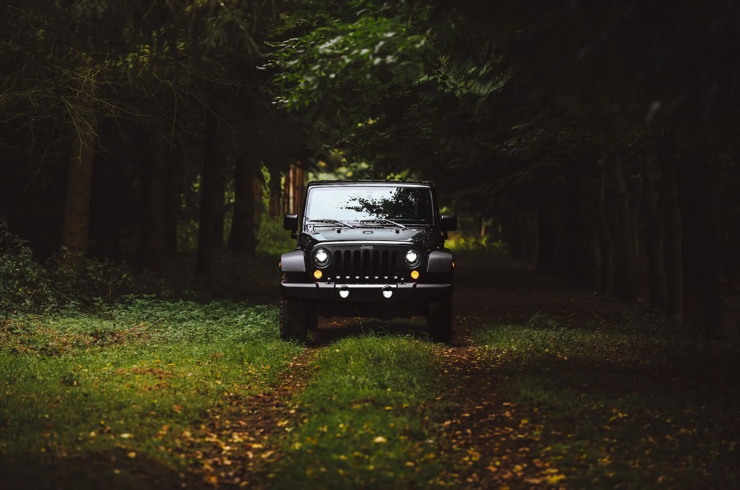 Roam Free: Exploring The World With Long-Term Jeep Rental