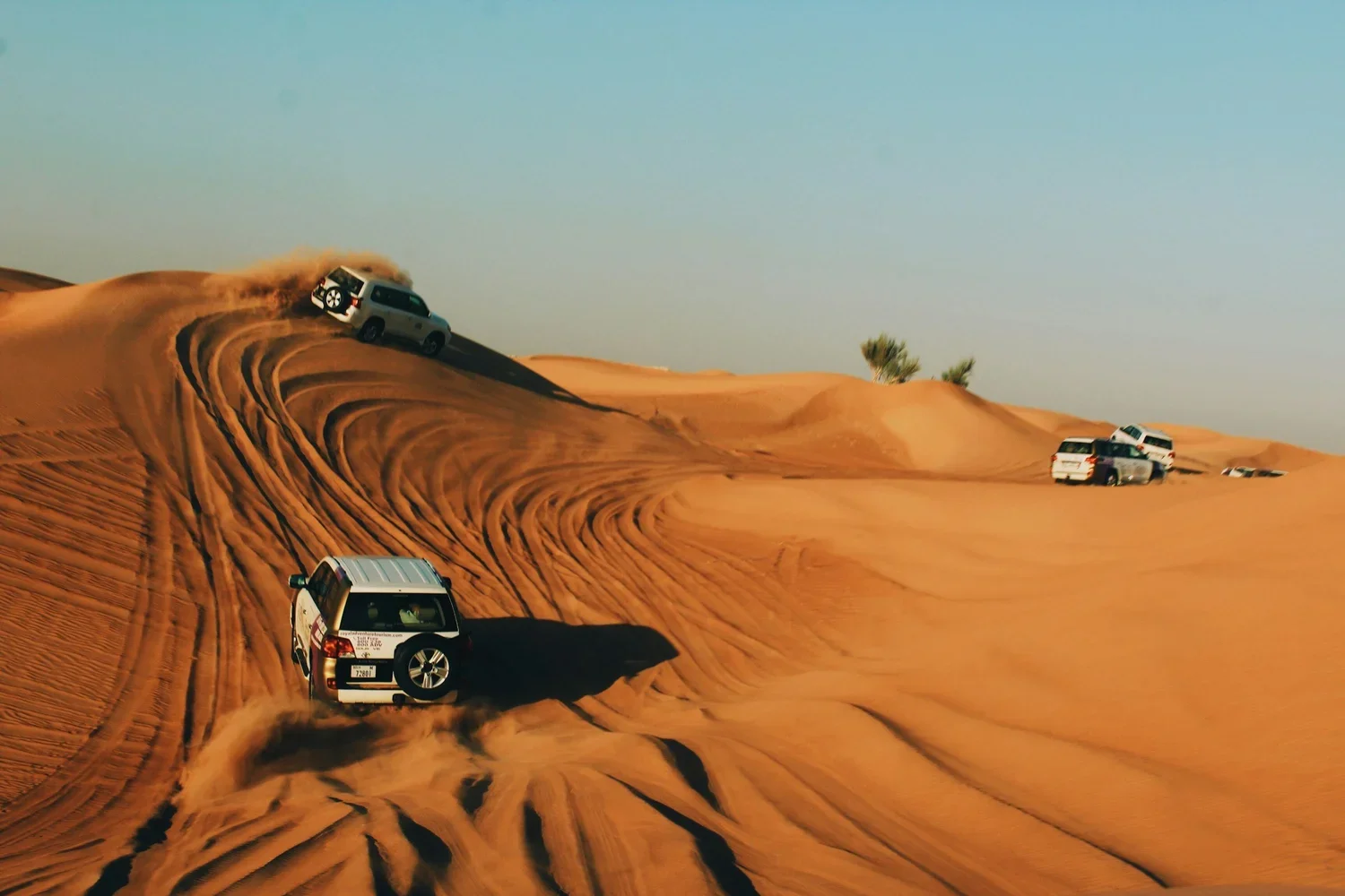 Deserts of Dubai: An International Safaris Experience Tour