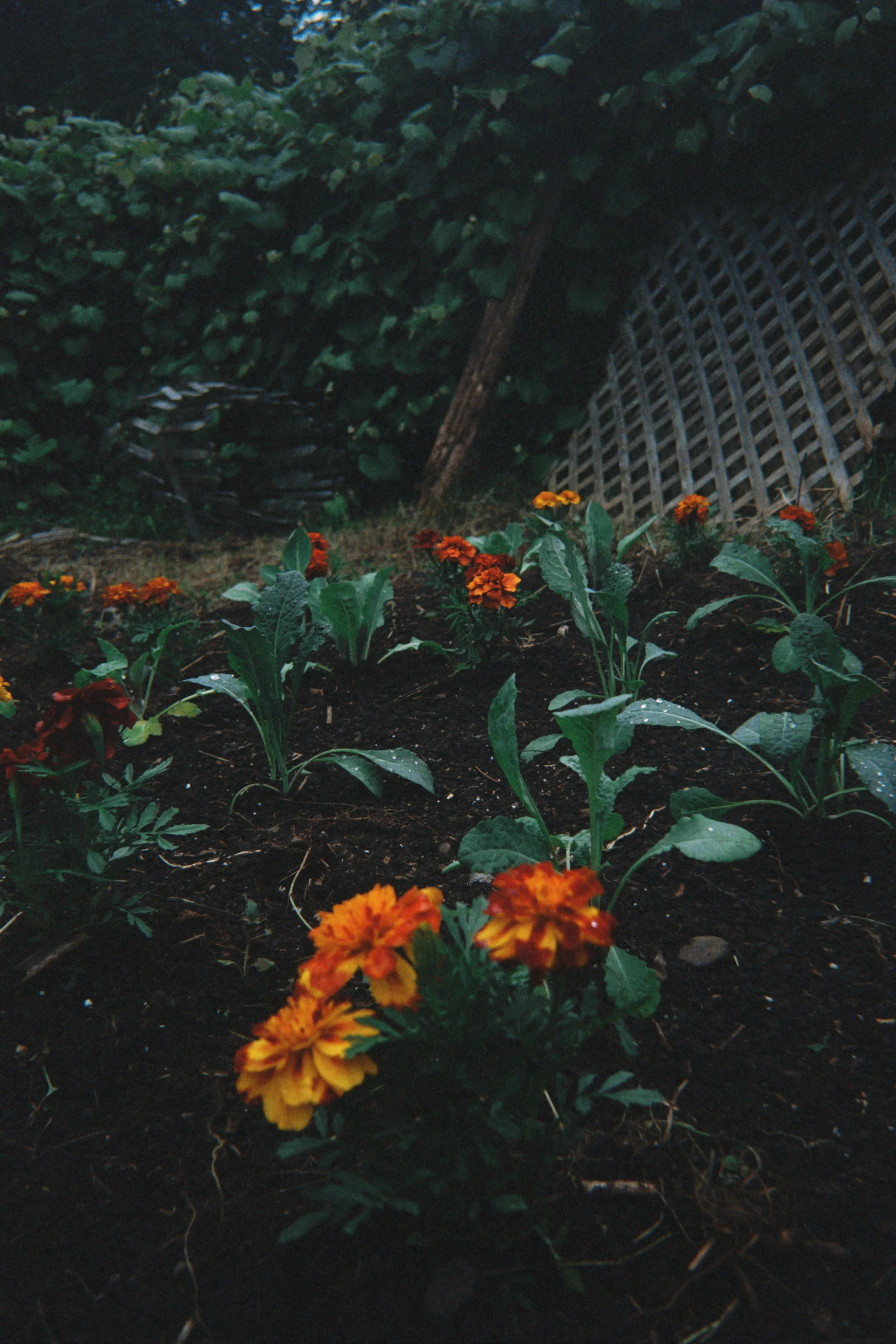 fqs 2025-06-27 202250.400.jpg