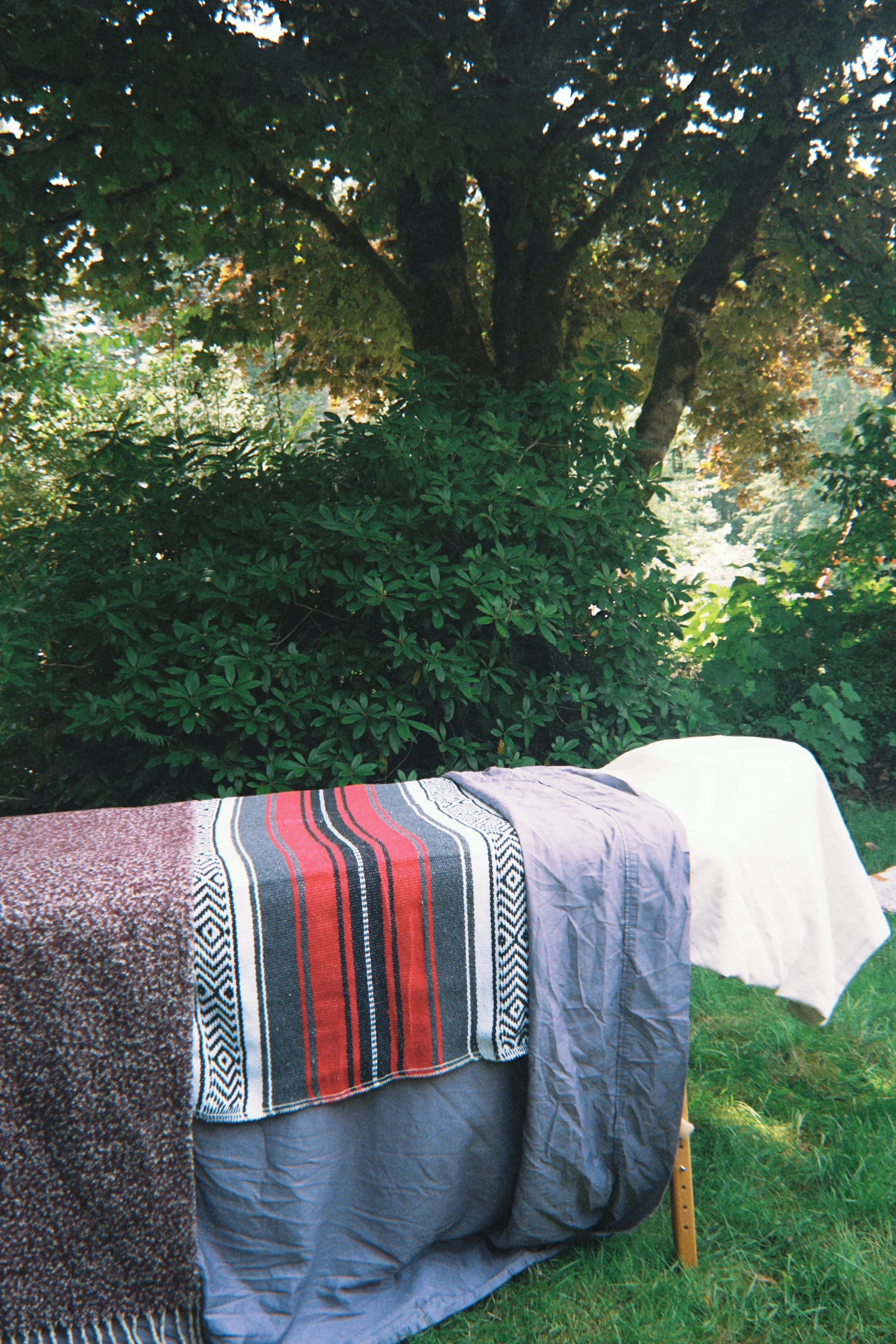 fqs 2025-06-23 145718.913.jpg