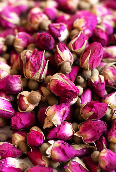 Screen Shot 2026-01-29 at 1.42.00 PM.png