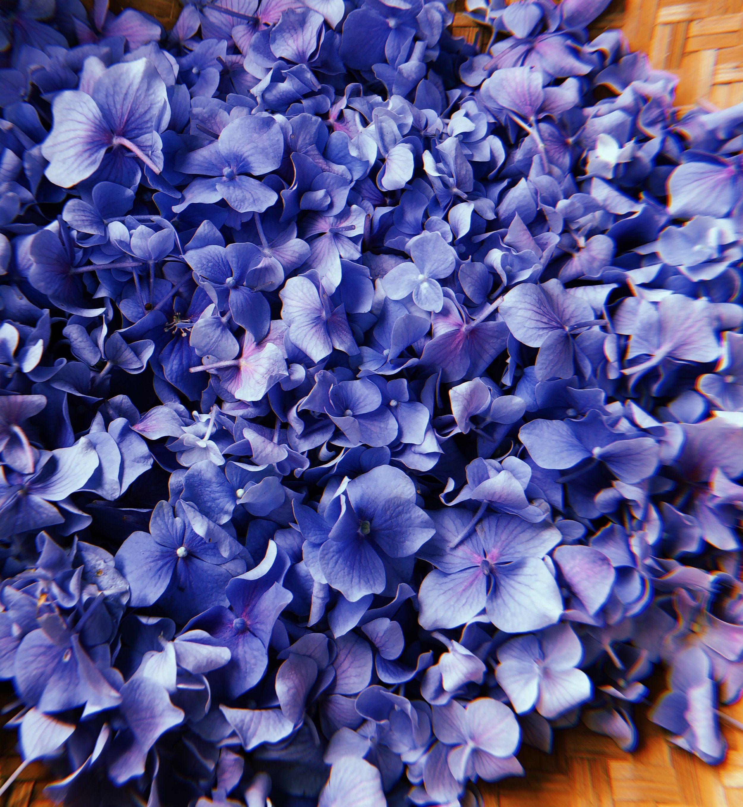 2019-07-15 18:32:11.861.jpeg