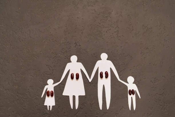 on a gray background silhouette of a family of paper, concept awareness of kidney disease