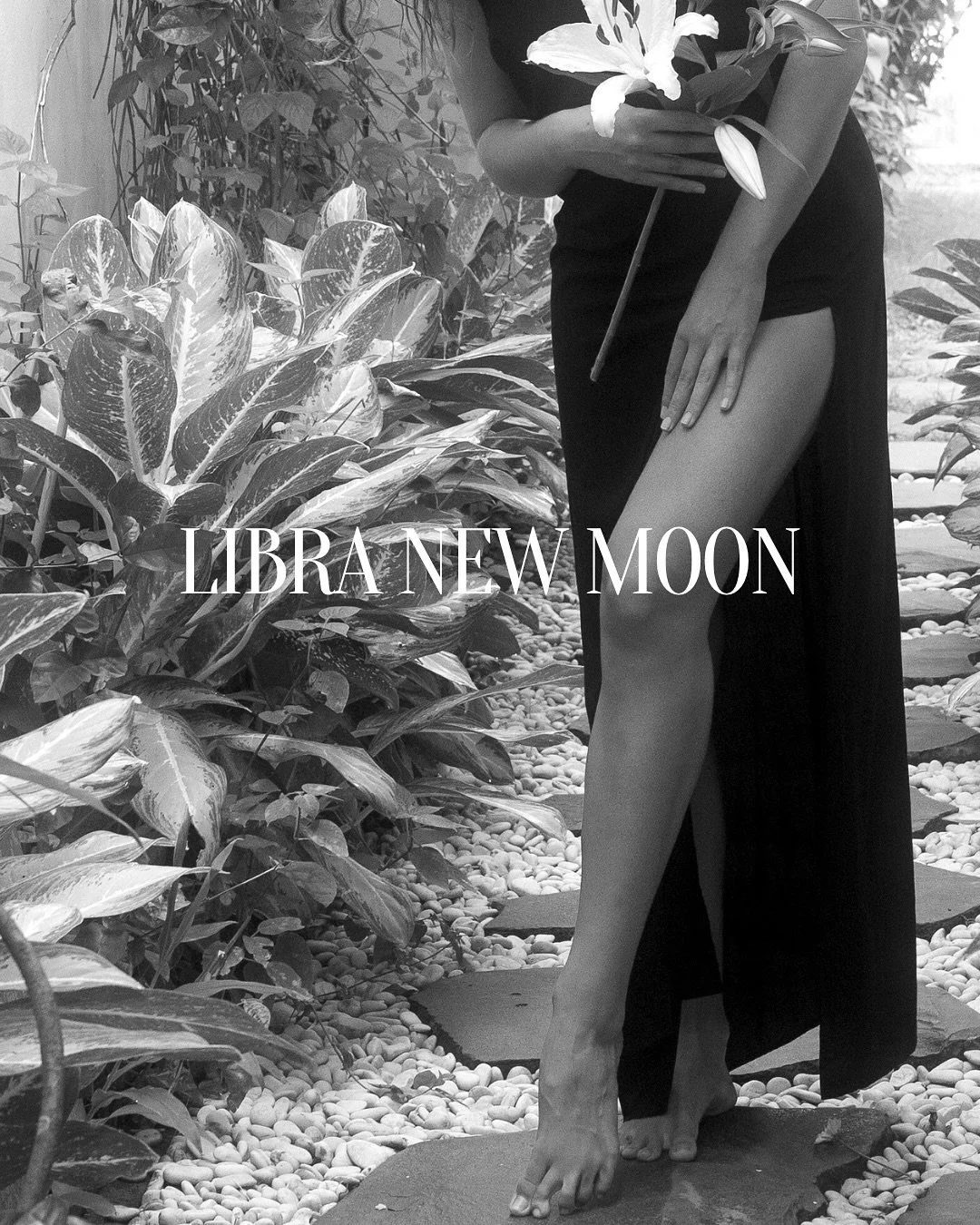 Libra new moon ♎️
Happening October 21st at 28degrees 
#astrology #astrologyforecast #newmoon #libra #libranewmoon #libraseason #personaldevelopment #personalgrowth #starseed #awakening #spirituality #astrologer
