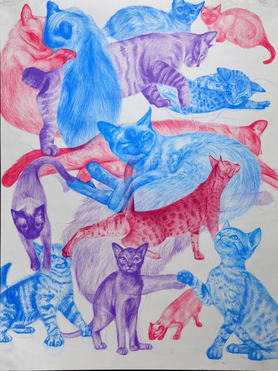 Traditional Colored Pencil Drawing