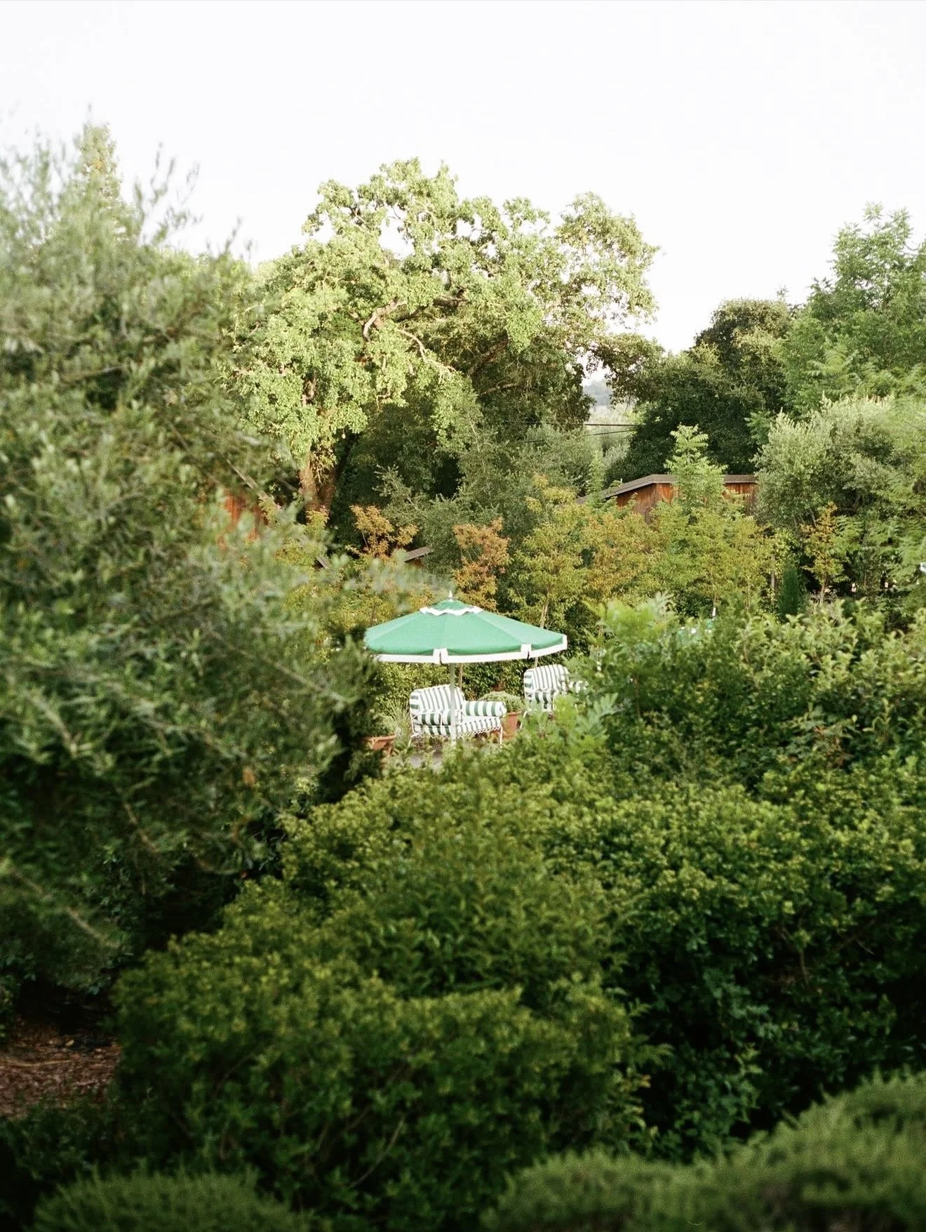 Le Petit Pali, St. Helena