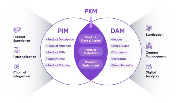 Diagram som viser hvordan PXM oppstår i overlappen mellom PIM og DAM