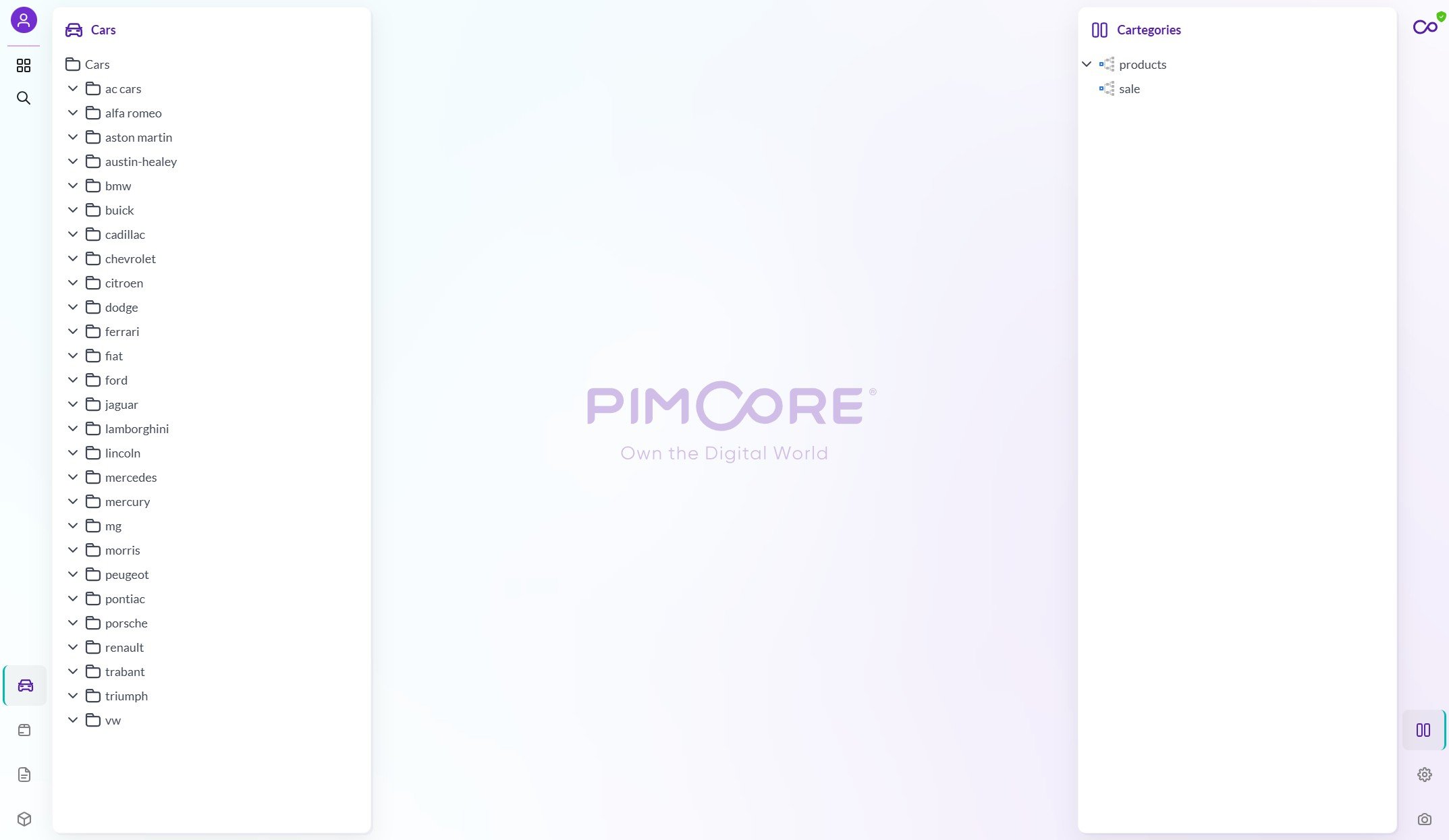 Pimcore Studio UI Car object perspective.