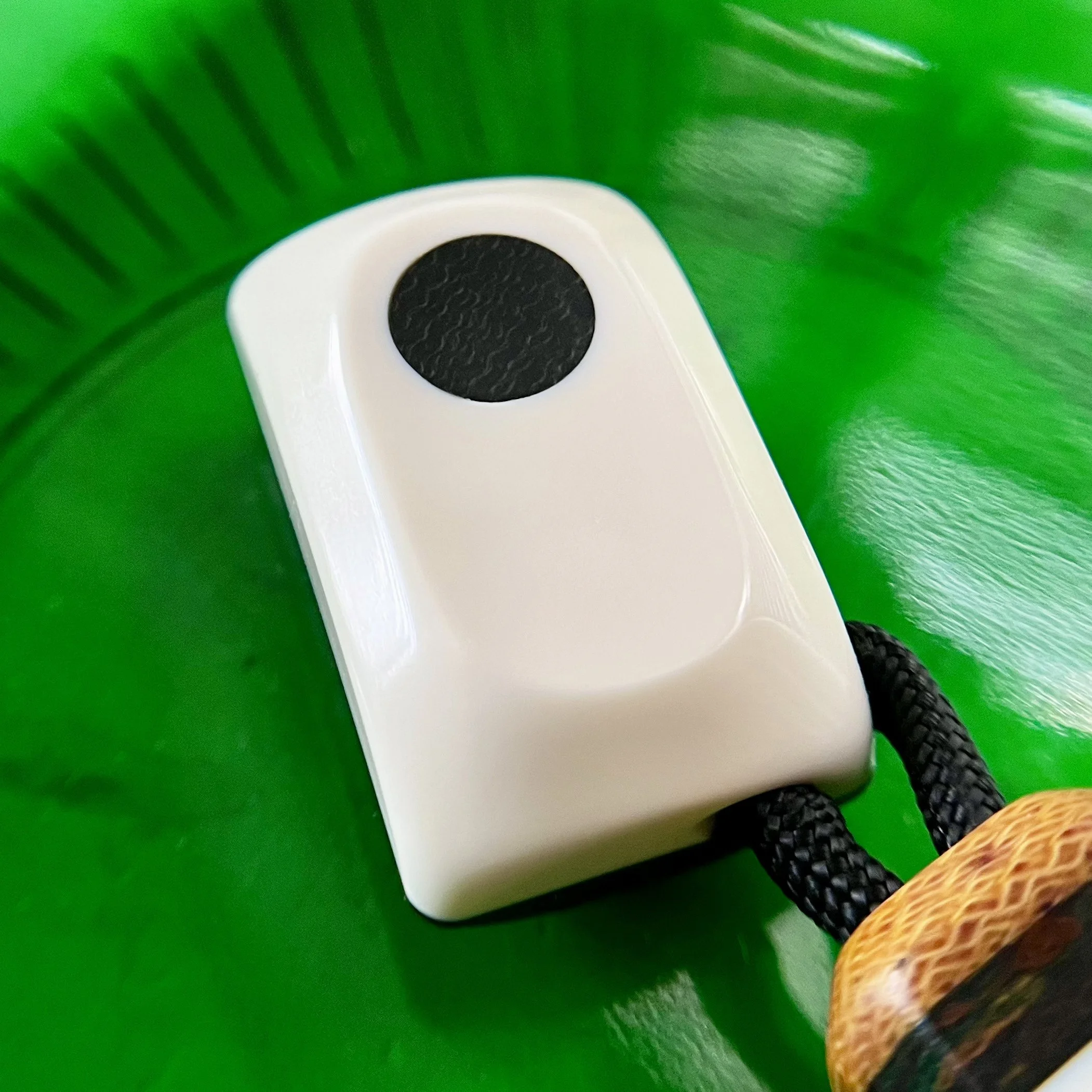 DOMINO_SEG_005.jpg