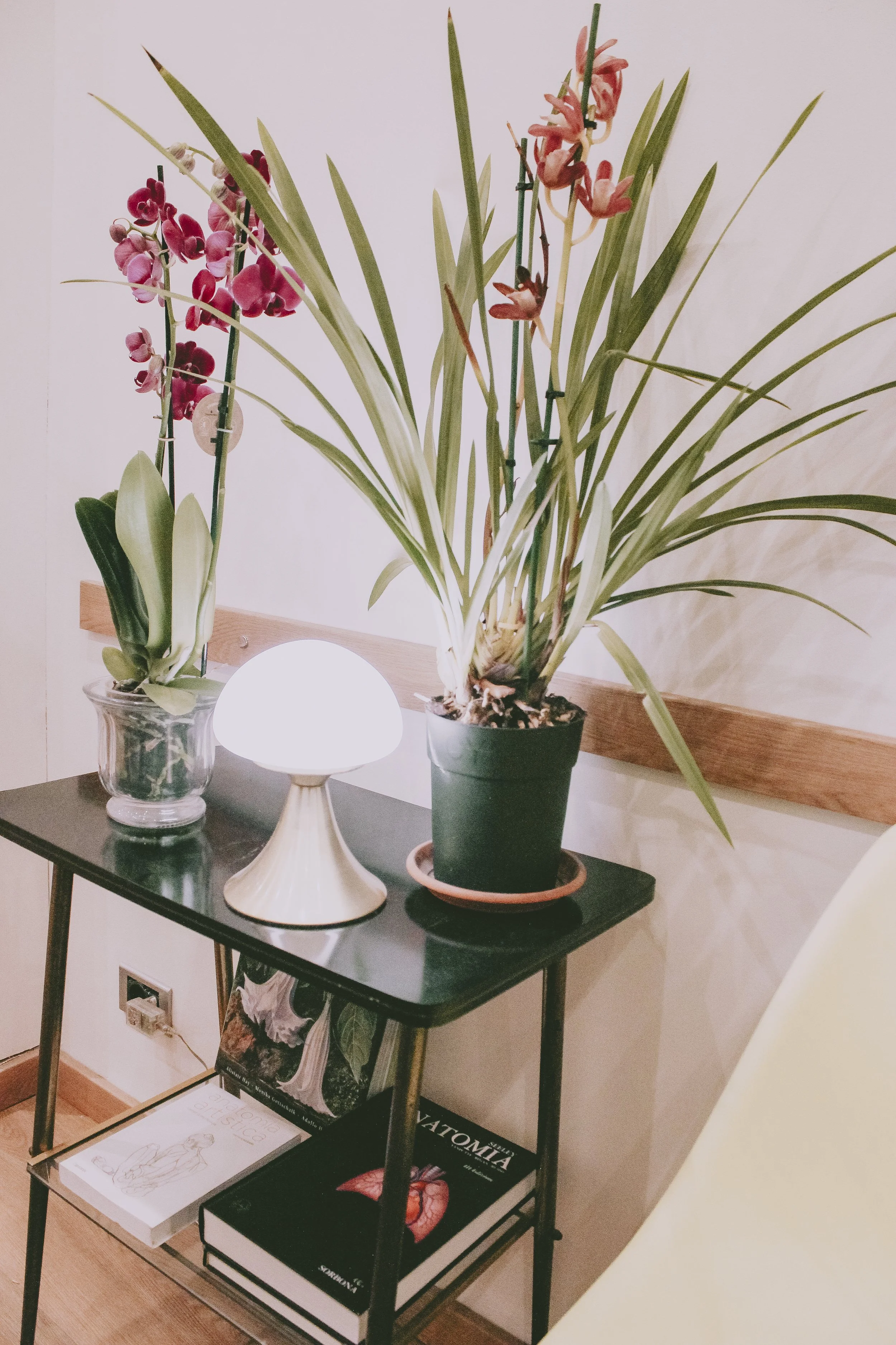 Trattamento pavimento pelvico studio medico Anemos Torino riabilitazione con vagycombi elettroporazione