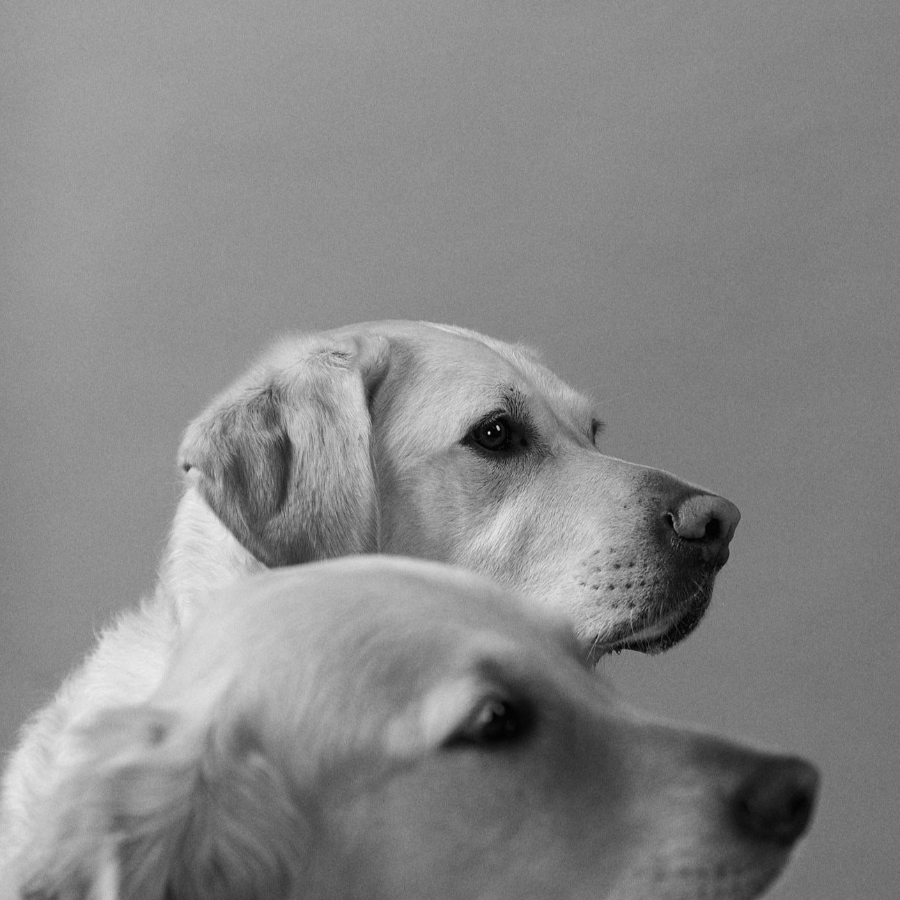 Cooper+%26+Piper+15.jpg
