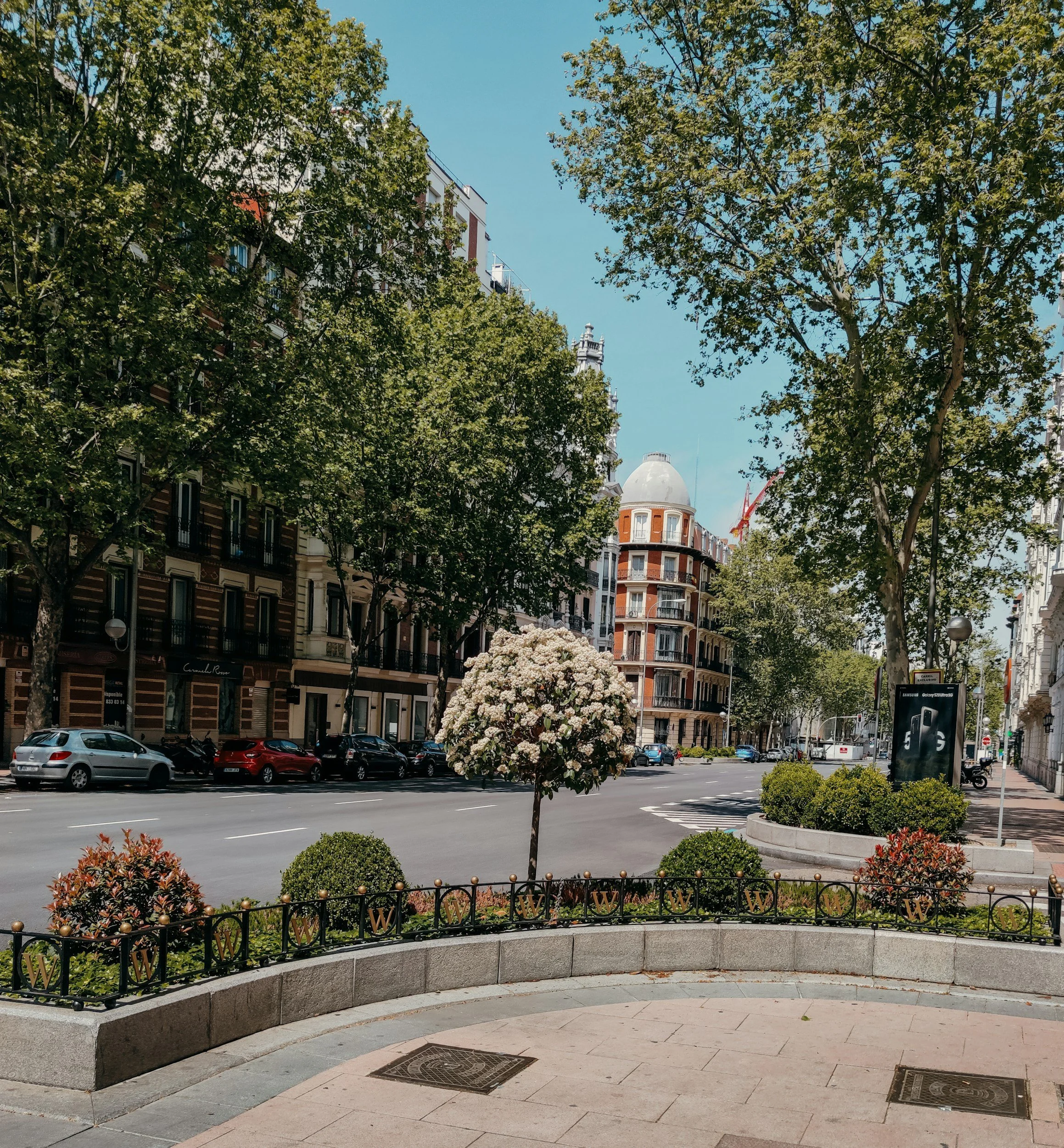 City street with a flower bed and small bushes in the foreground, cars parked along the street, tall trees with green leaves, and buildings with European architecture in the background on a sunny day.