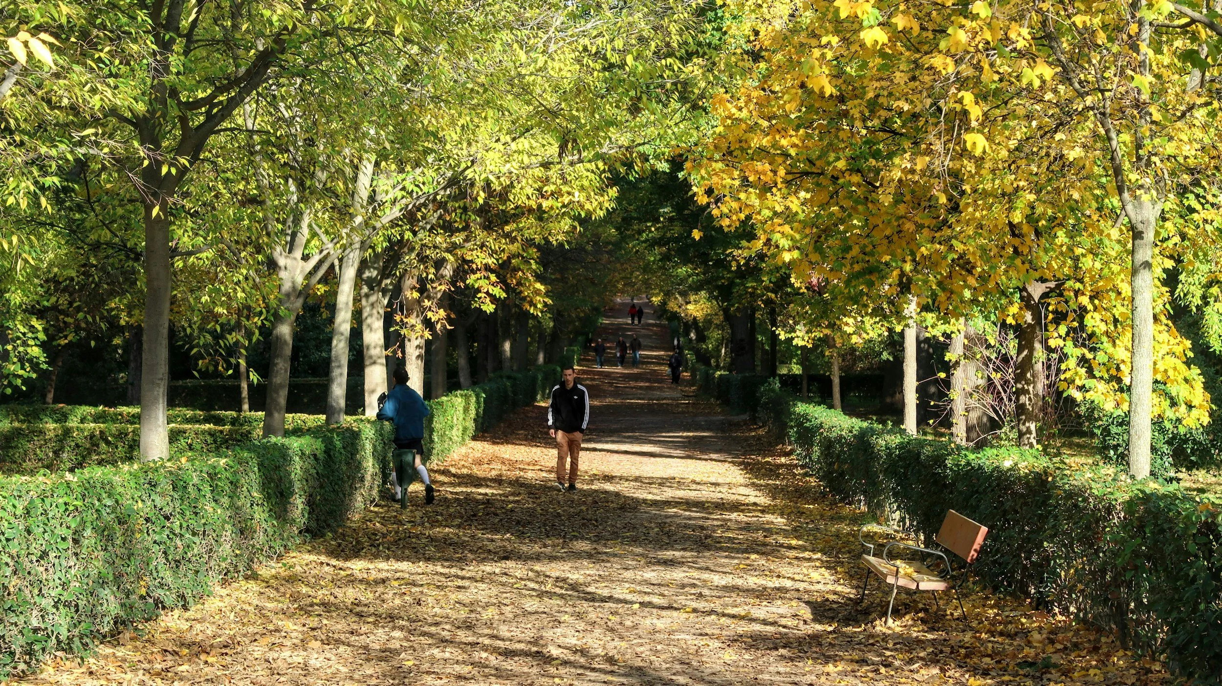 A park path covered with fallen leaves, flanked by bushes and trees with yellow and green leaves, with a wooden bench on the right side. Several people are walking along the path, enjoying the autumn scenery.