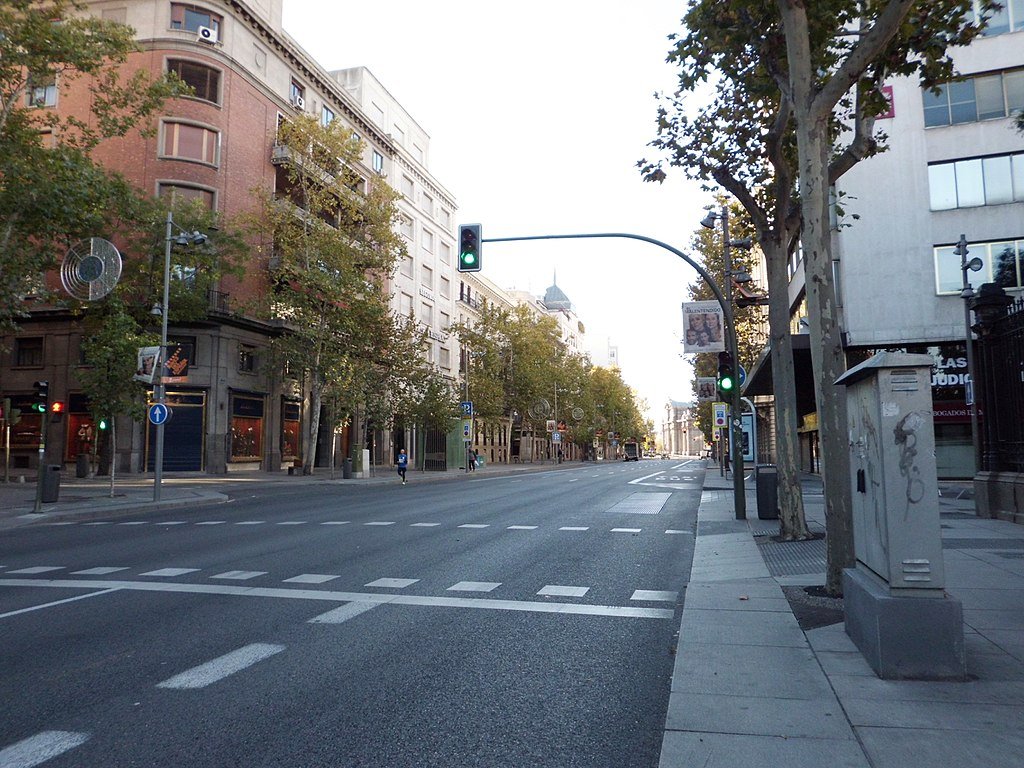 Empty city street with green traffic lights, trees lining the sidewalk, and buildings on both sides.