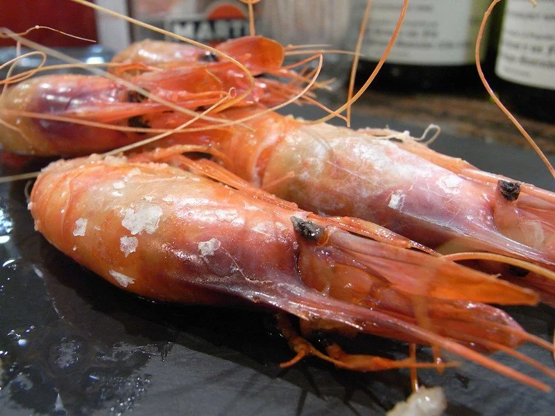 Close-up of cooked pink shrimp with salt flakes on a black plate.