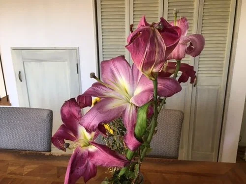 花は開くことがベストなのか