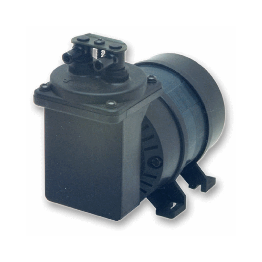 Charles Austen pumpe Capex L2