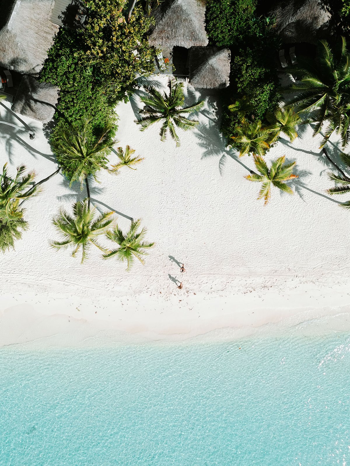 DJI_0444_websize.jpg