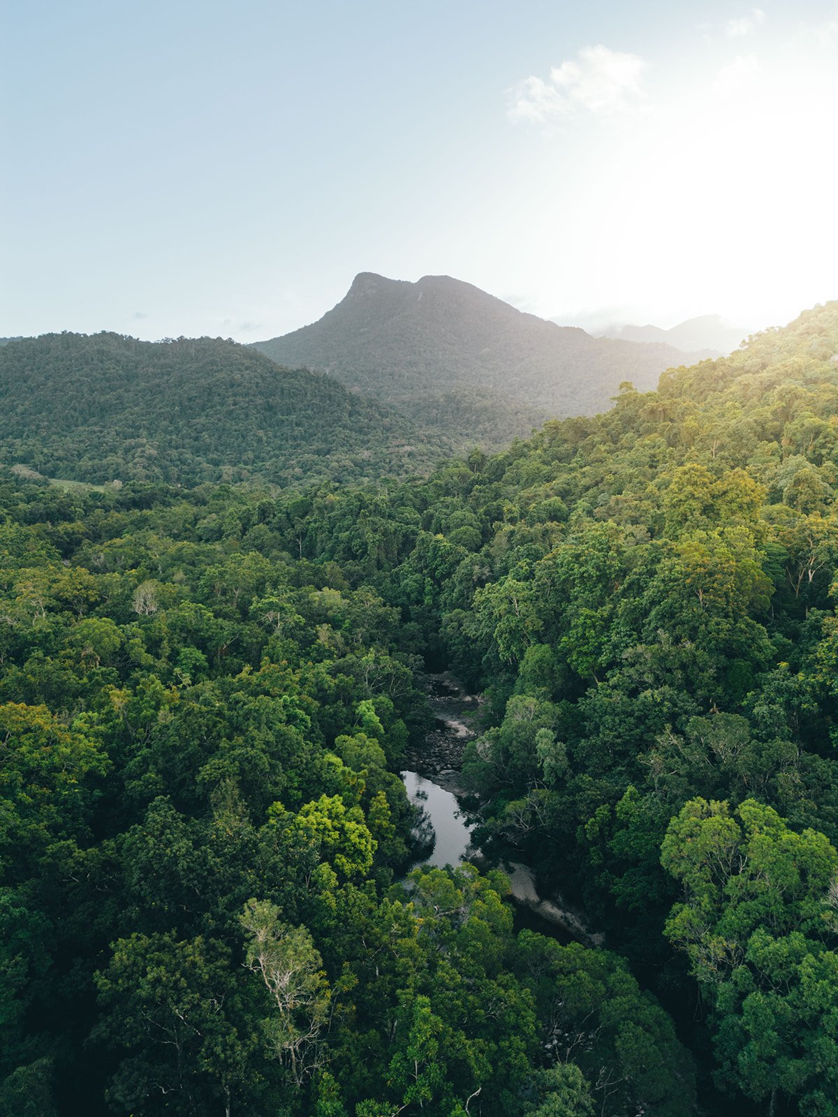 DJI_0623_websize.jpg