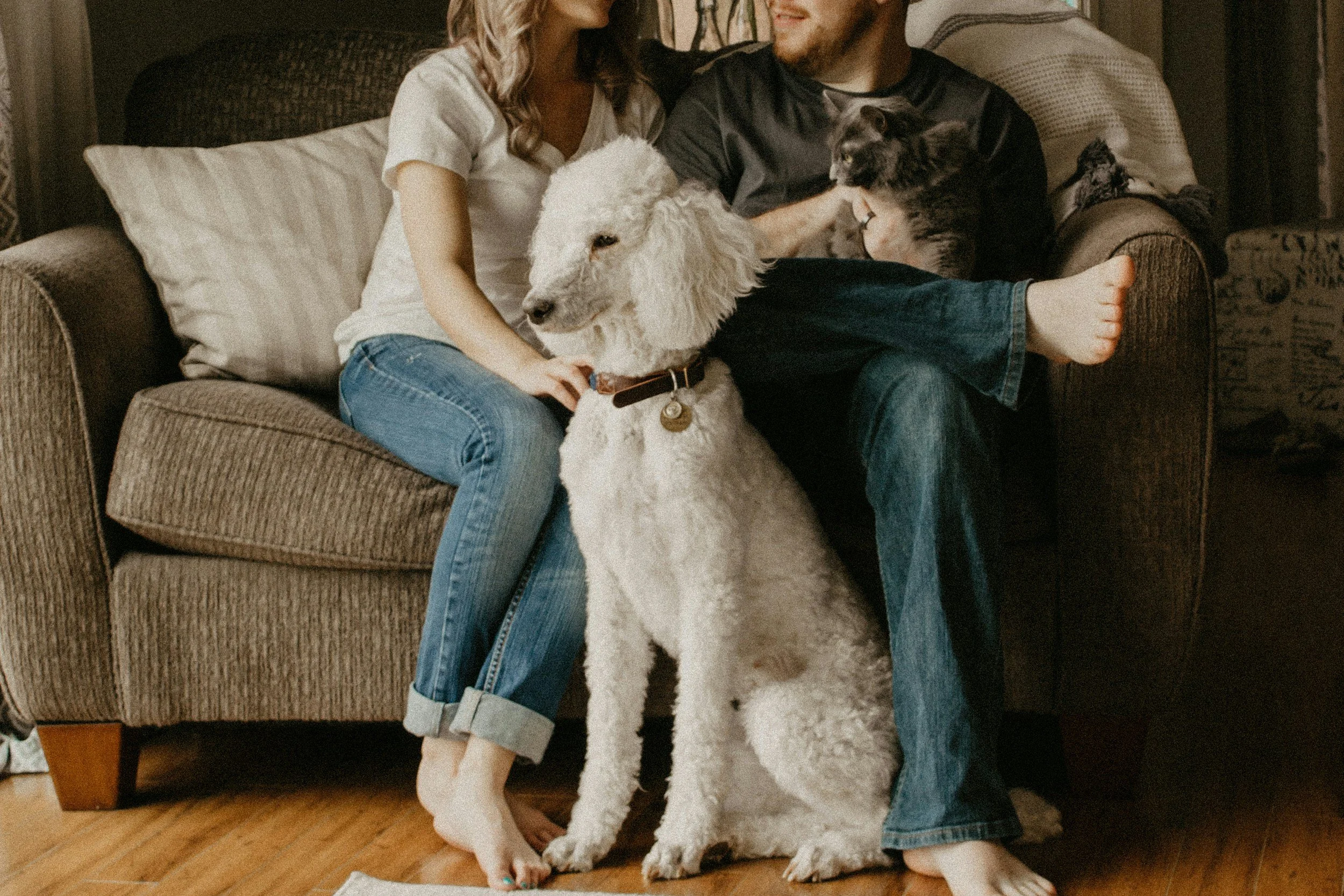 A woman, man, and two dogs sitting on a couch in a cozy living room