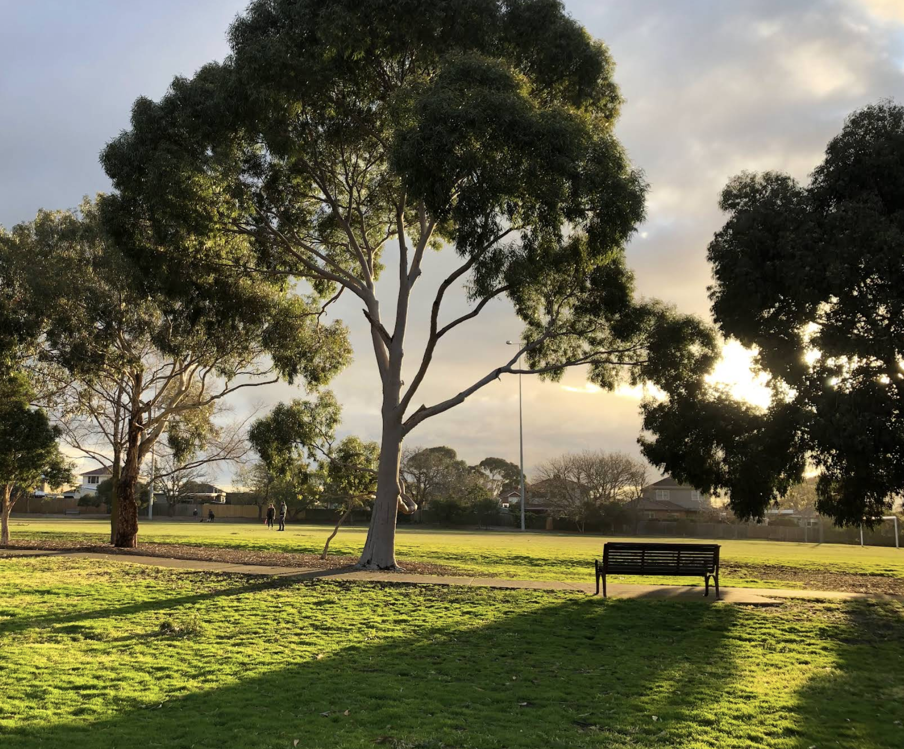 A park with lush green grass, tall trees, a bench, and people walking in the background. The sky is partly cloudy with sunlight peeking through.