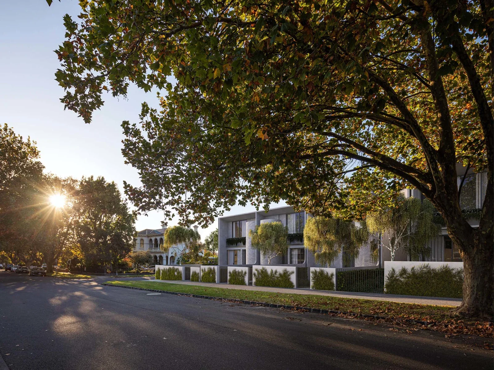 Residential development in Elsternwick, Melbourne at sunset with a modern apartment building, large trees, and a clear sky.