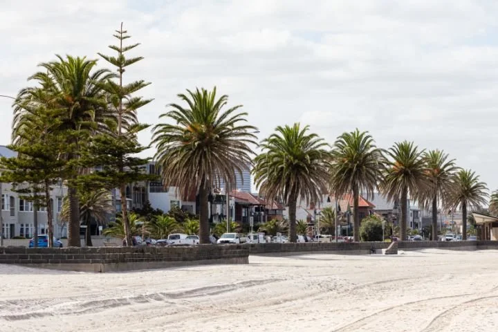 On the sand at Middle Park, looking back to the palm trees and homes along Beaconsfield Parade