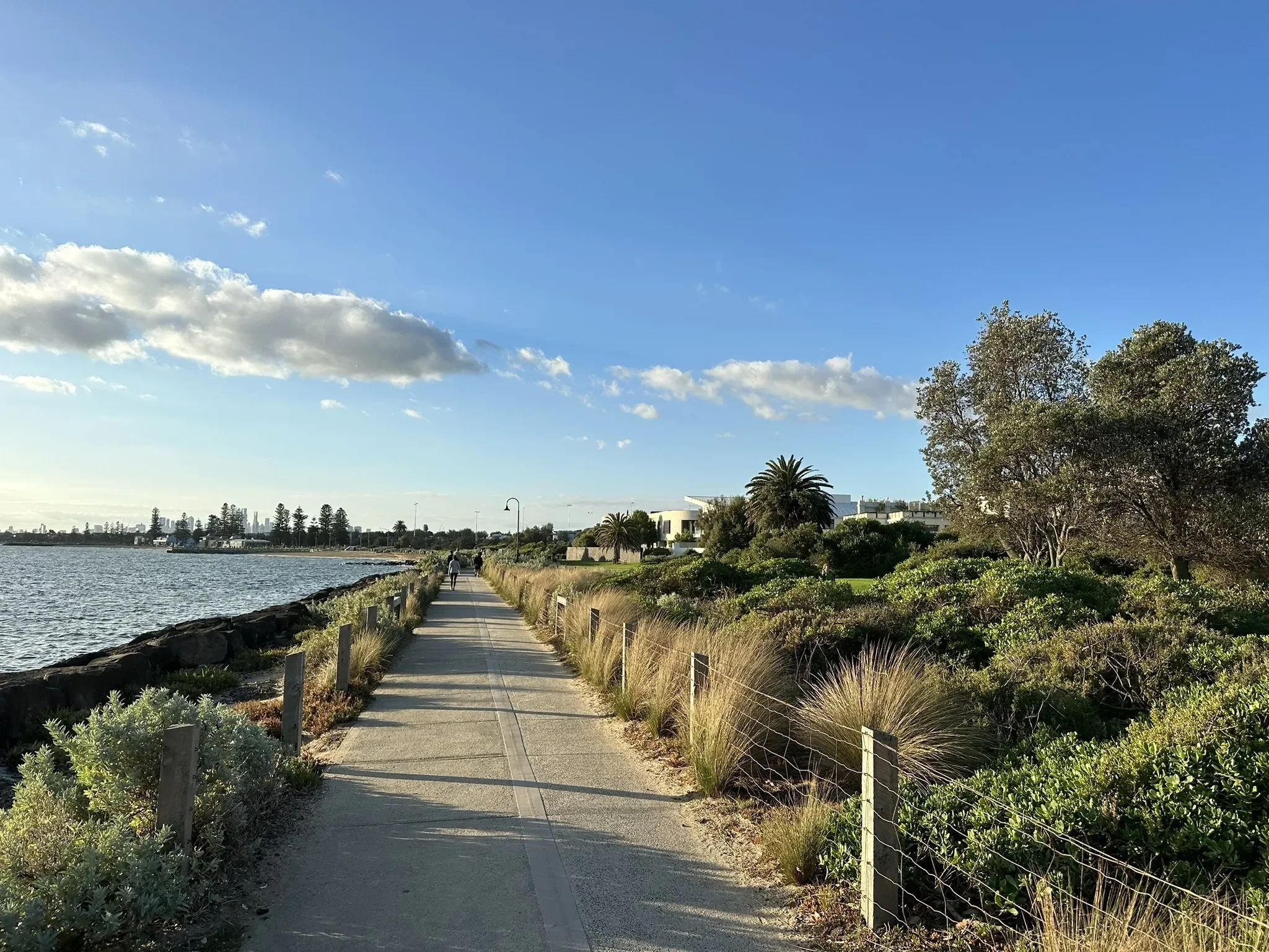 A waterfront park trail in Elwood, Melbourne near Ormond Point, with a walking trail, trees, and a city skyline in the distance under a mostly clear blue sky.