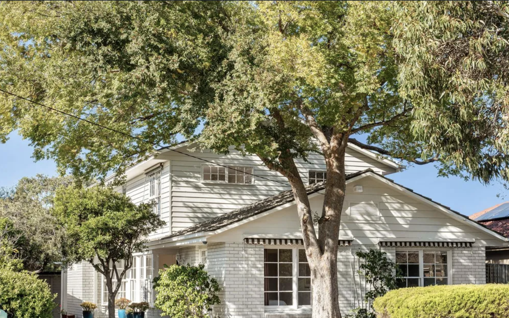 White two-story house in Cheltenham, Melbourne with a large leafy tree in front, surrounded by green bushes and plants, under a clear blue sky.