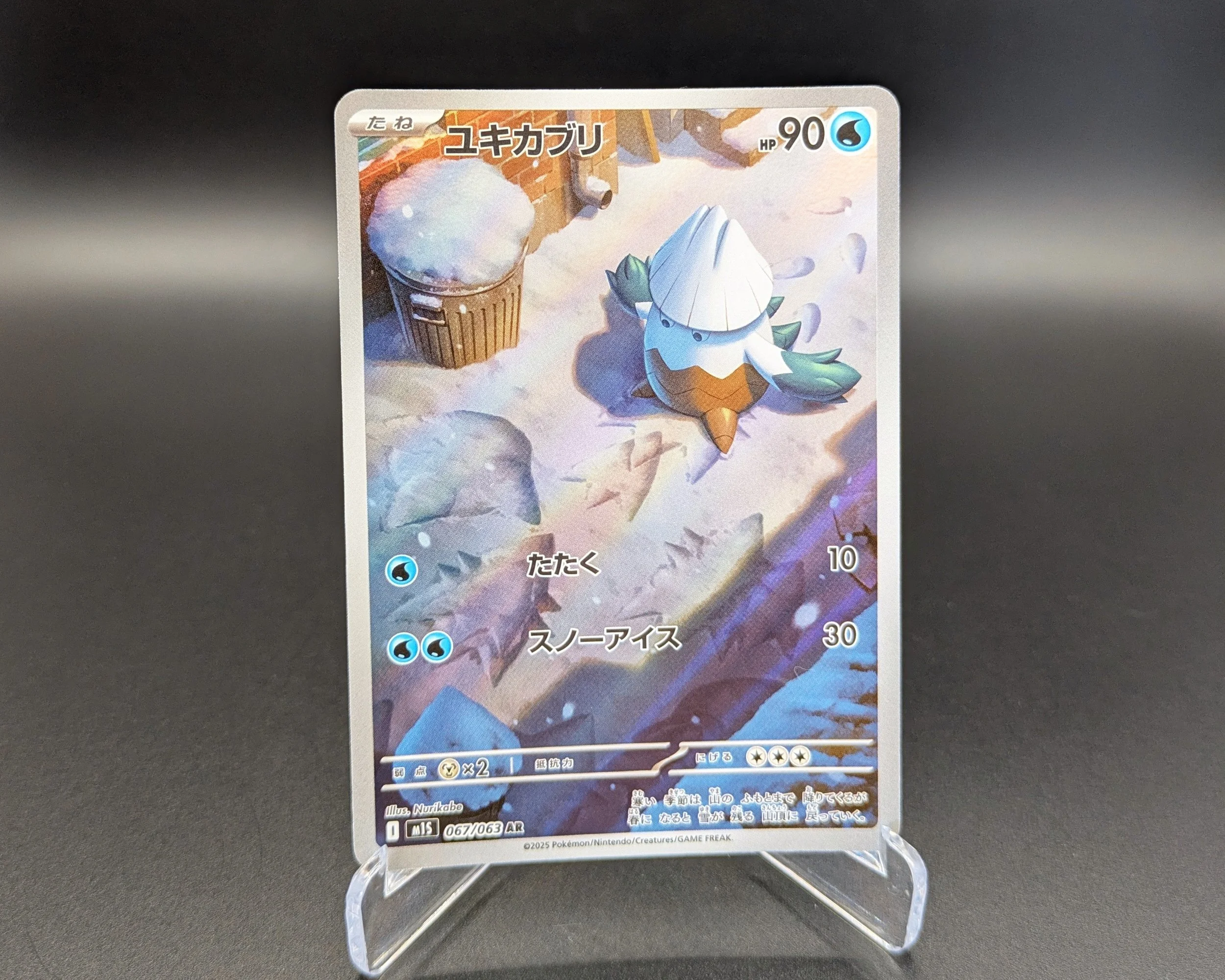 Snover.jpg