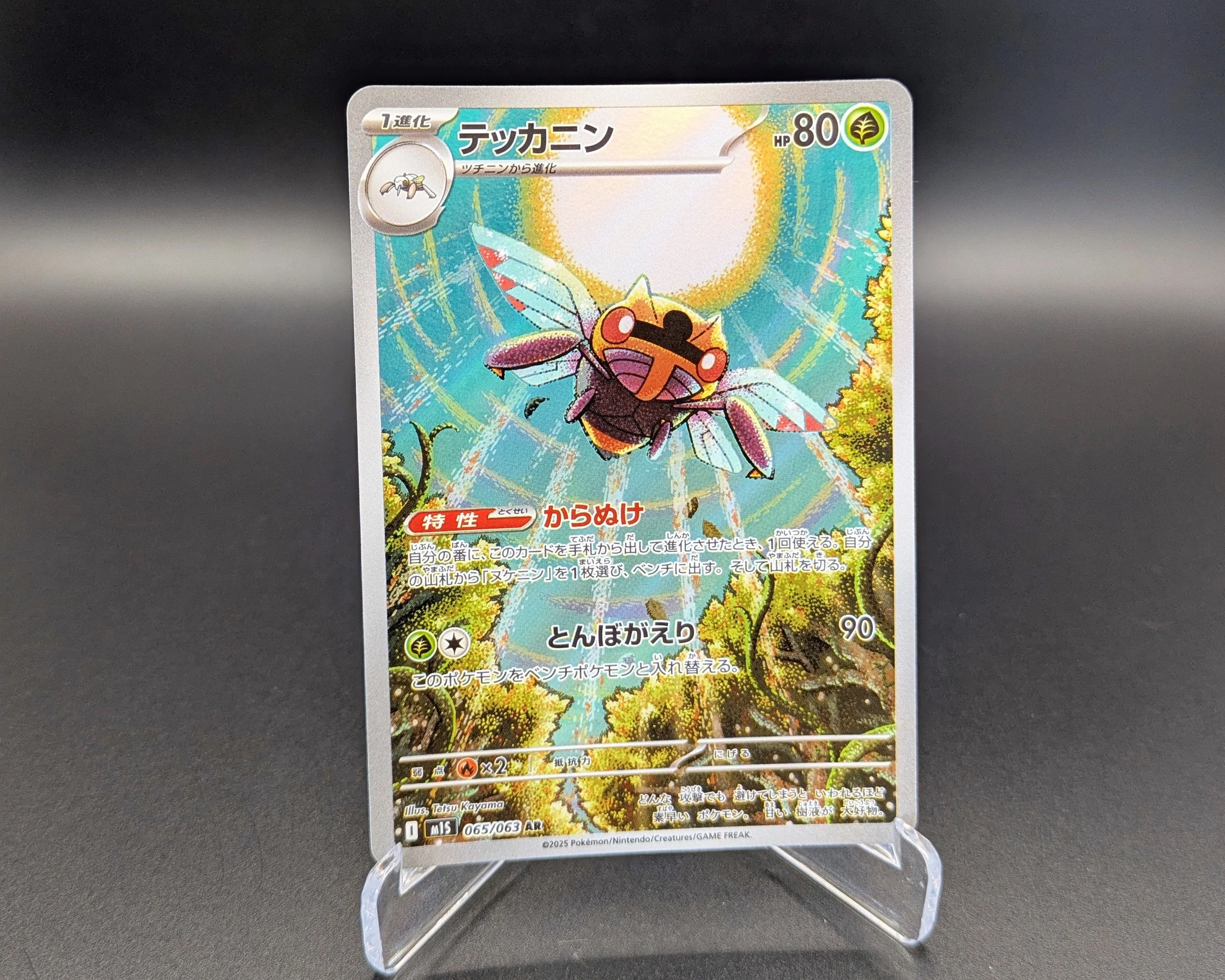 Ninjask.jpg
