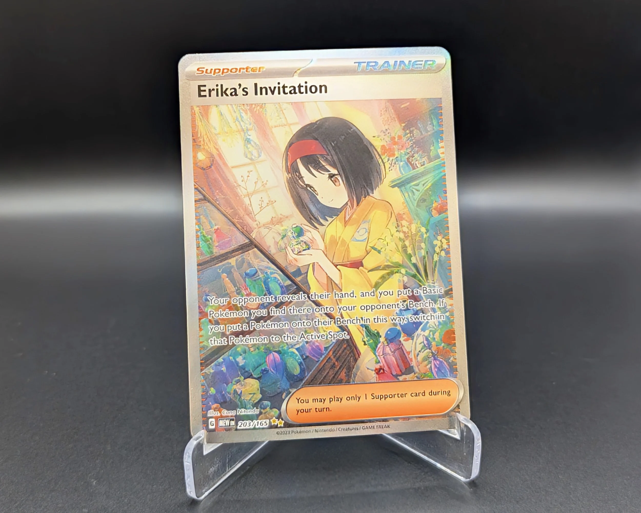 Erika’s Invitation (203/165)