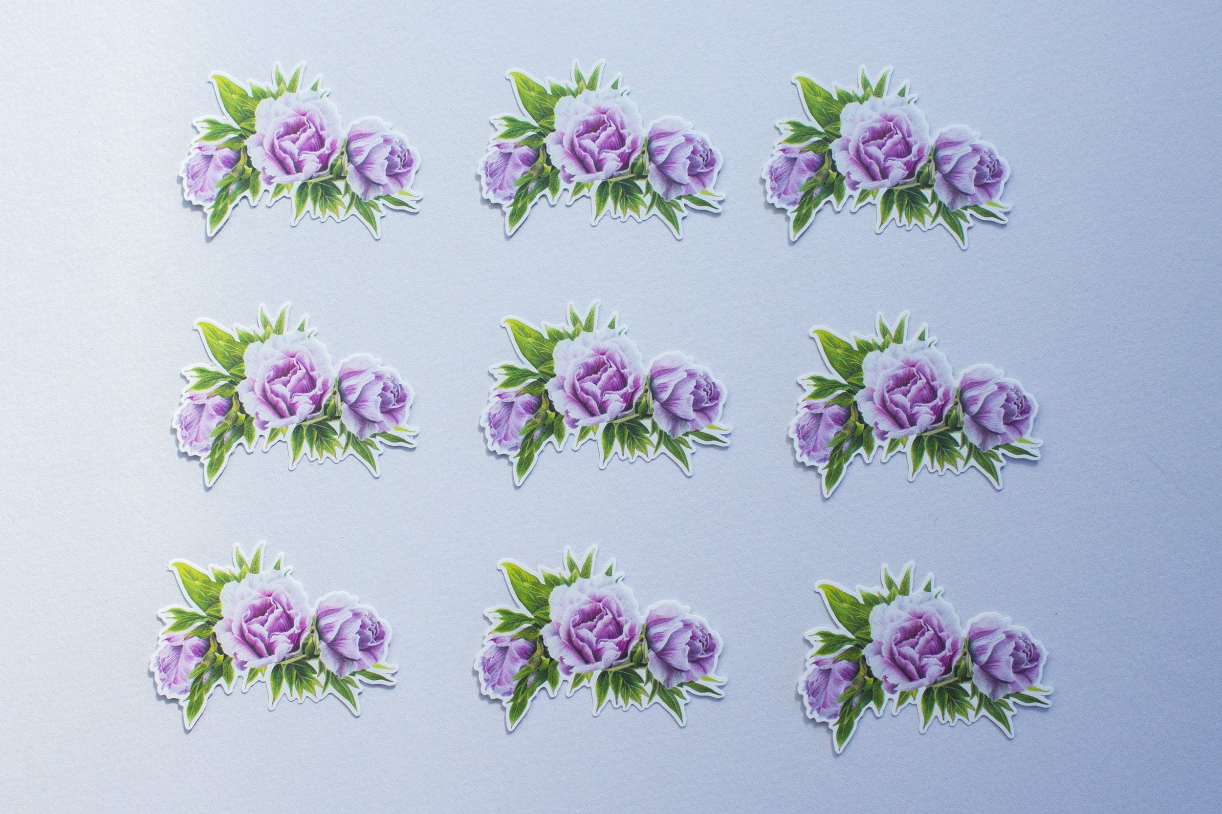 https://i.etsystatic.com/12069273/r/il/456fd6/1920889760/il_fullxfull.1920889760_pe52.jpg